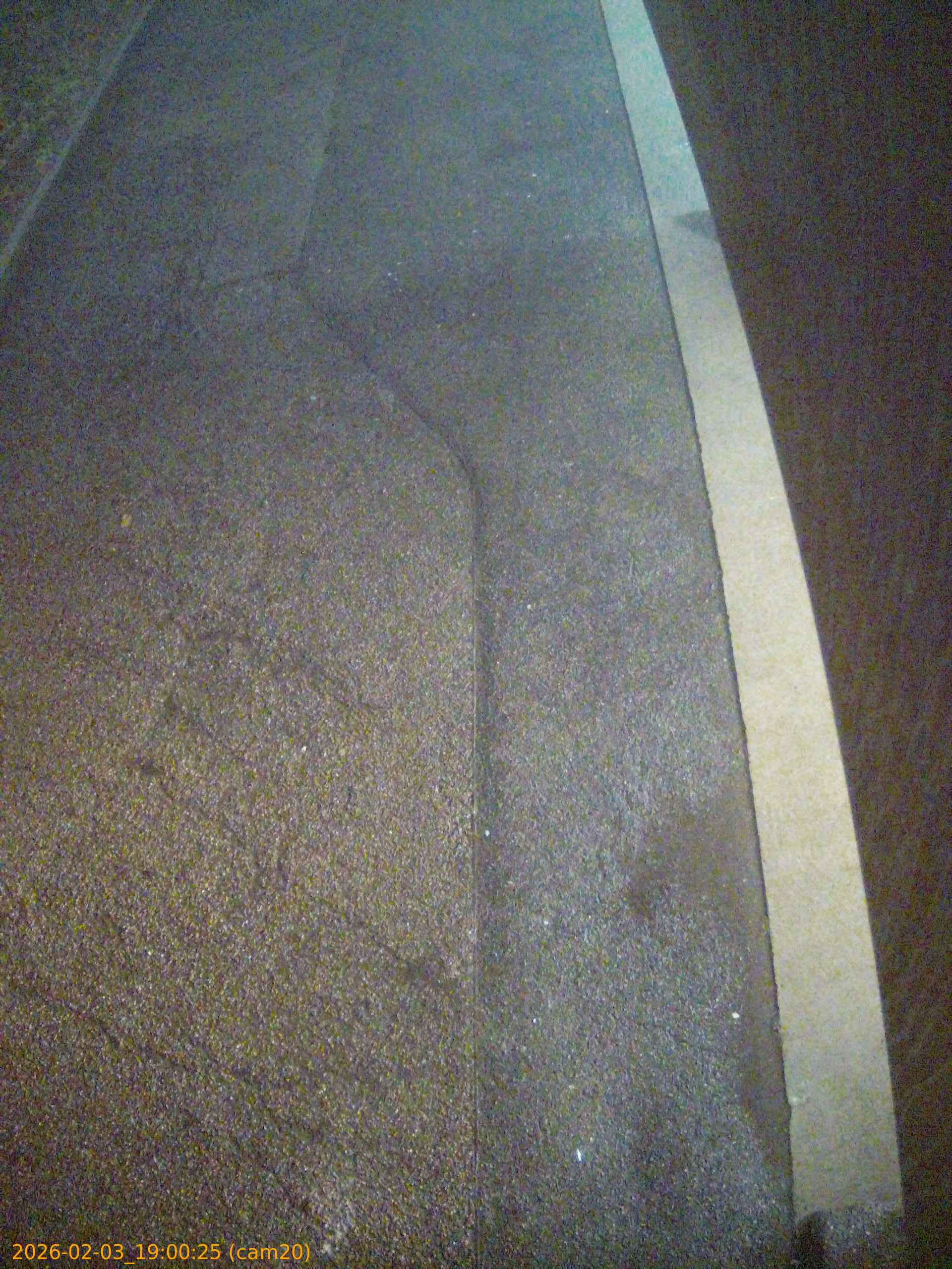 thumbnail_20260203190025