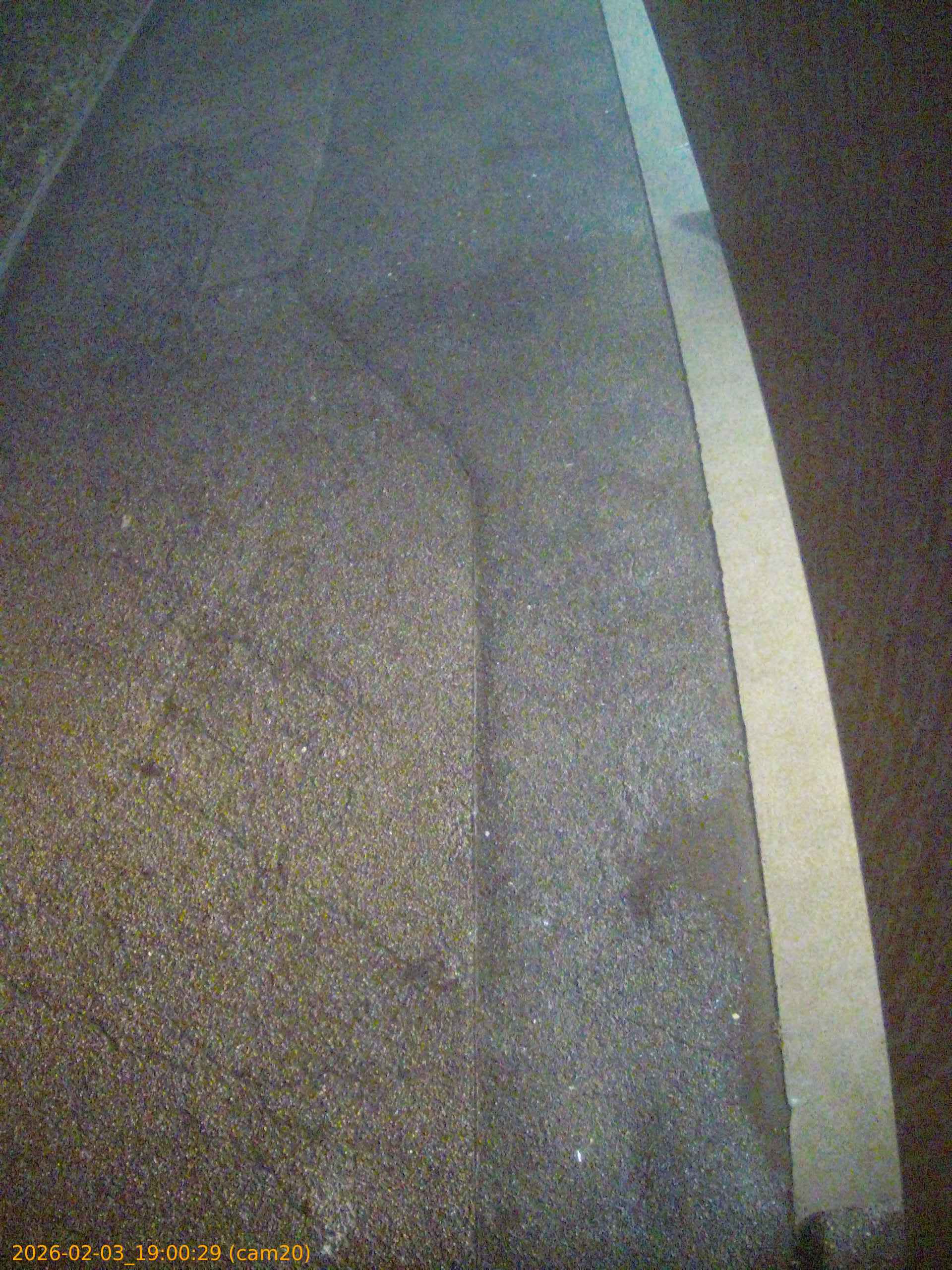 thumbnail_20260203190029