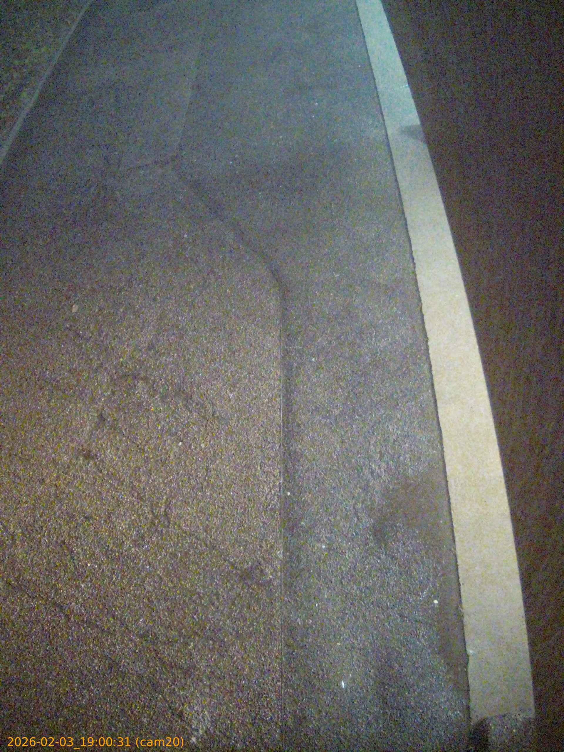 thumbnail_20260203190031