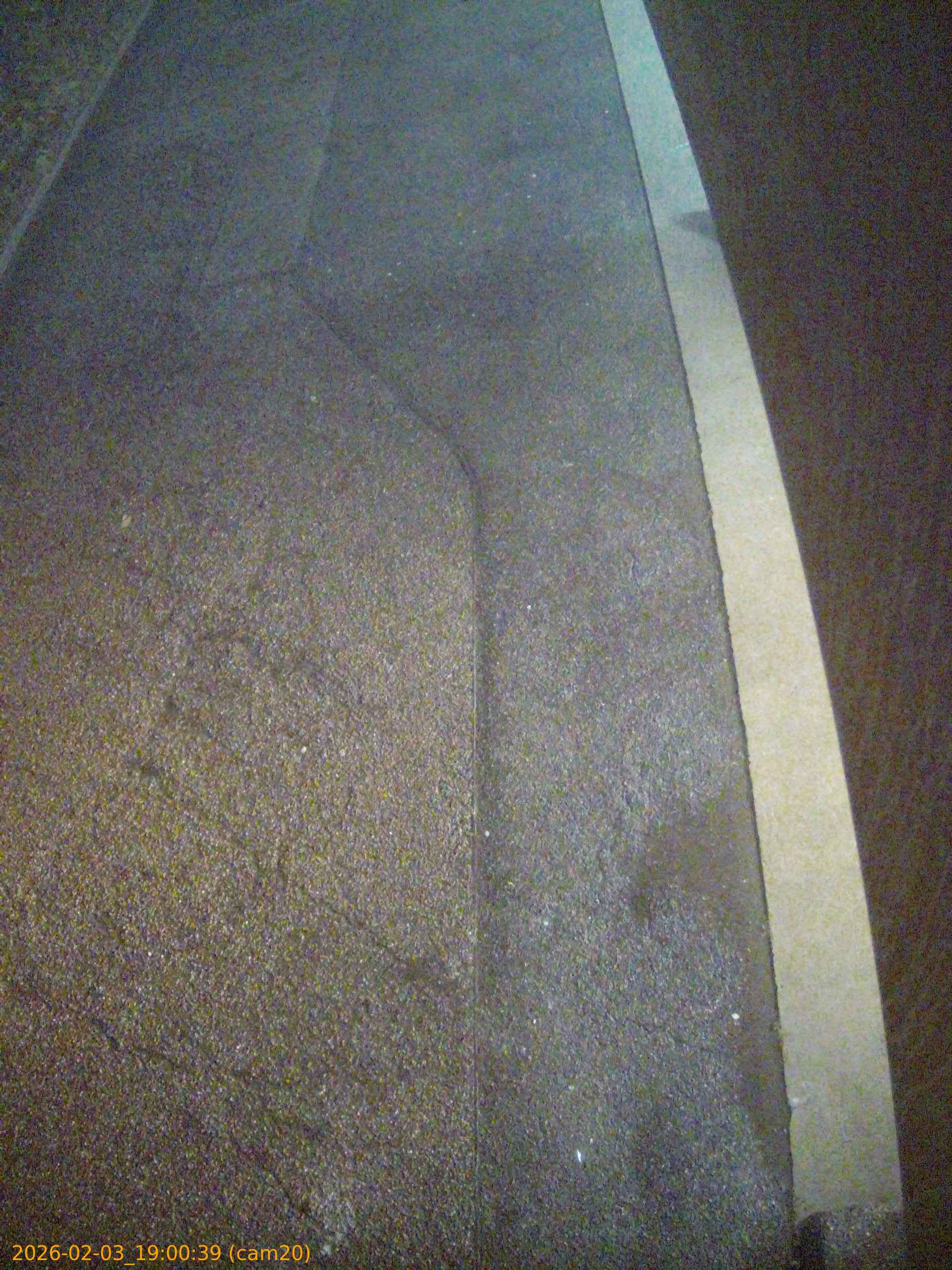 thumbnail_20260203190039