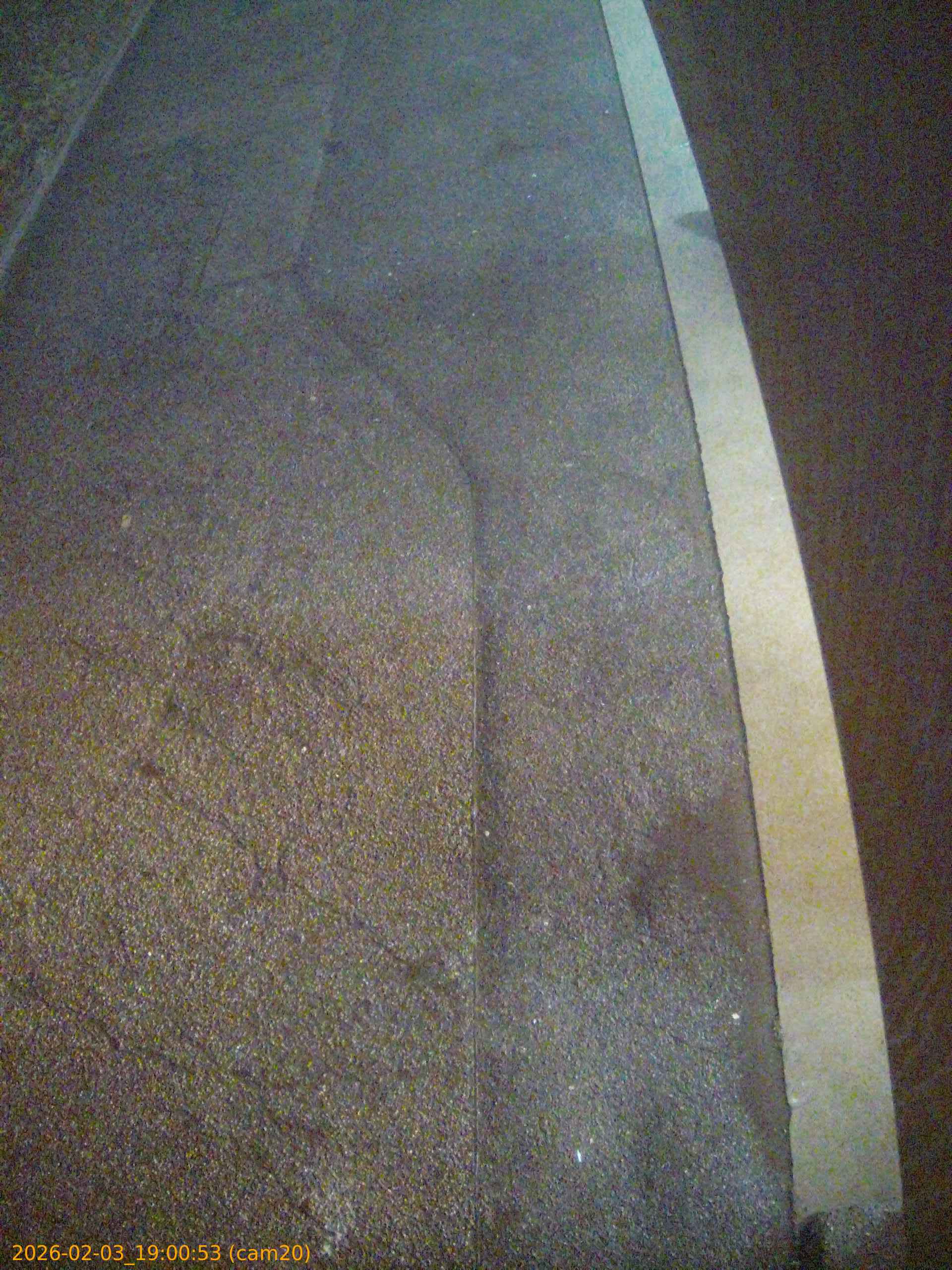 thumbnail_20260203190053