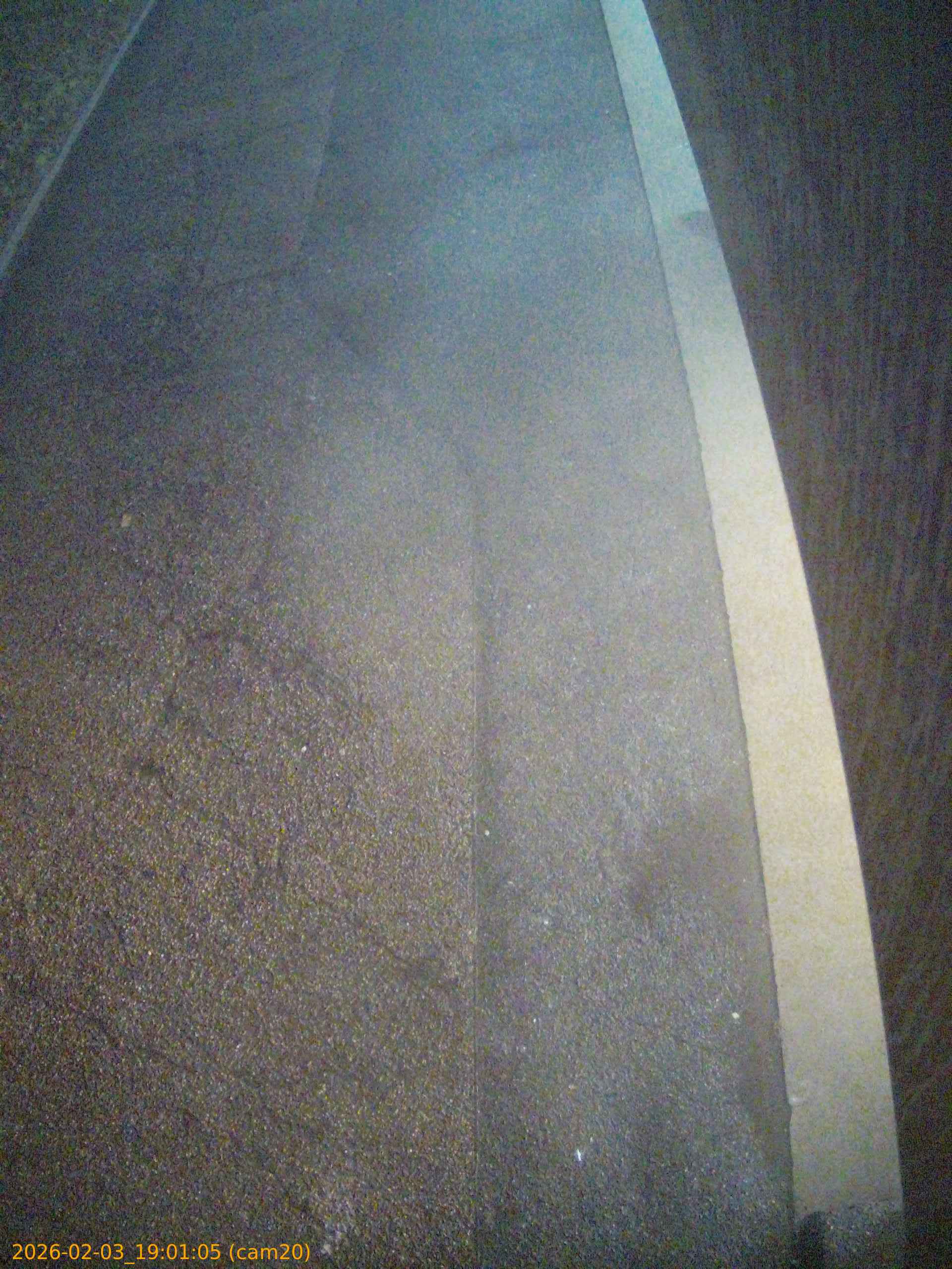 thumbnail_20260203190105