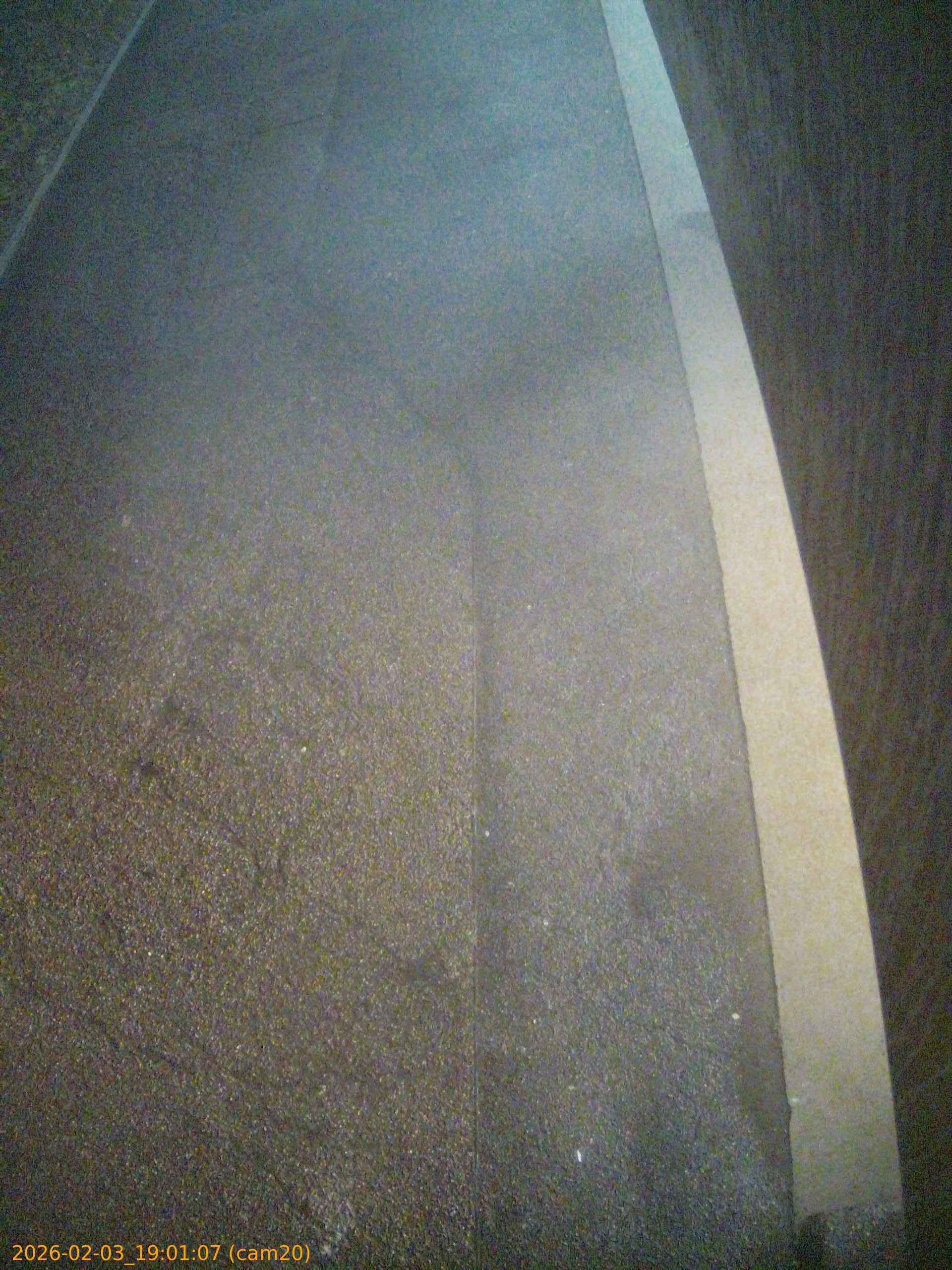 thumbnail_20260203190107