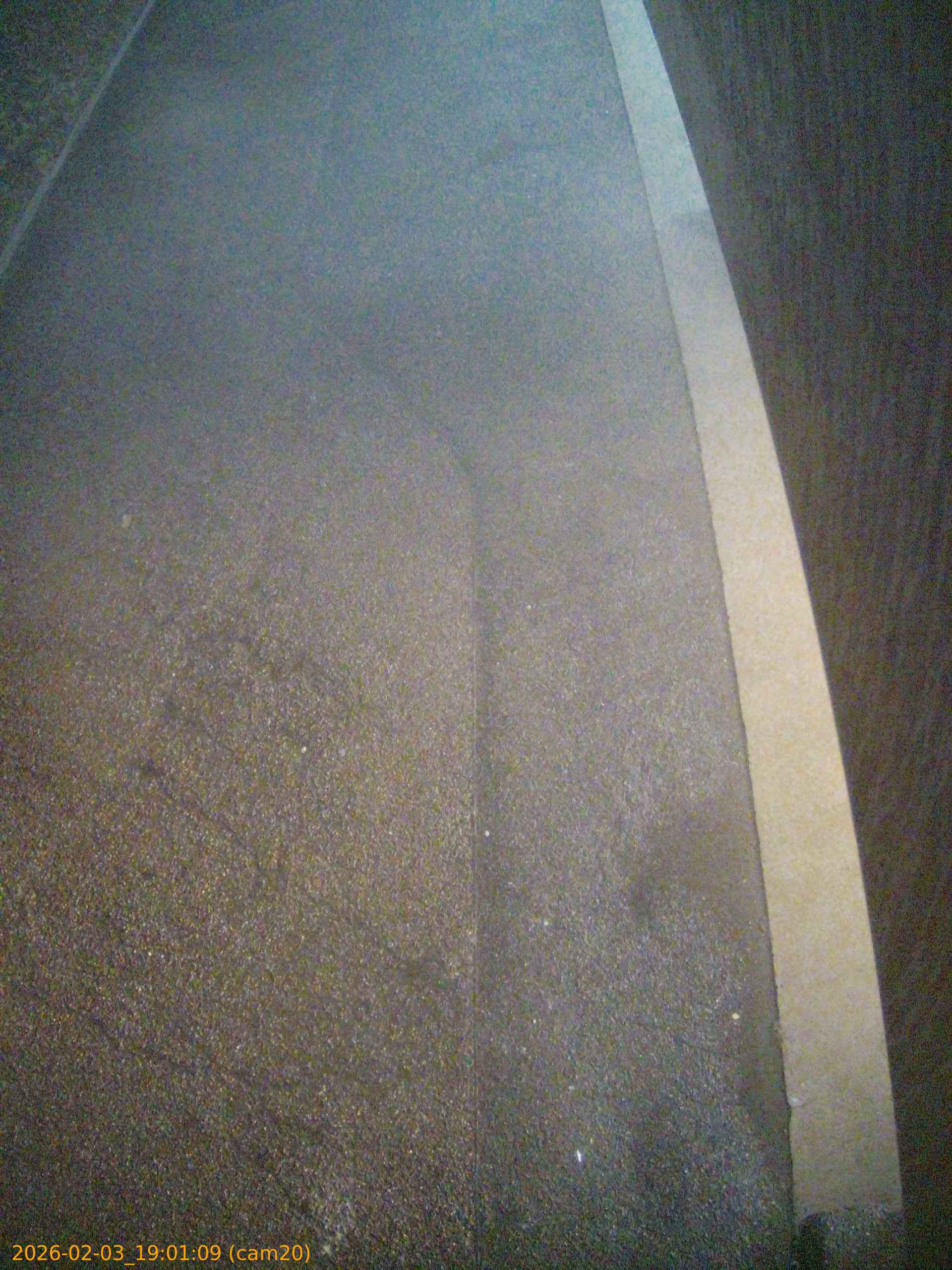 thumbnail_20260203190109