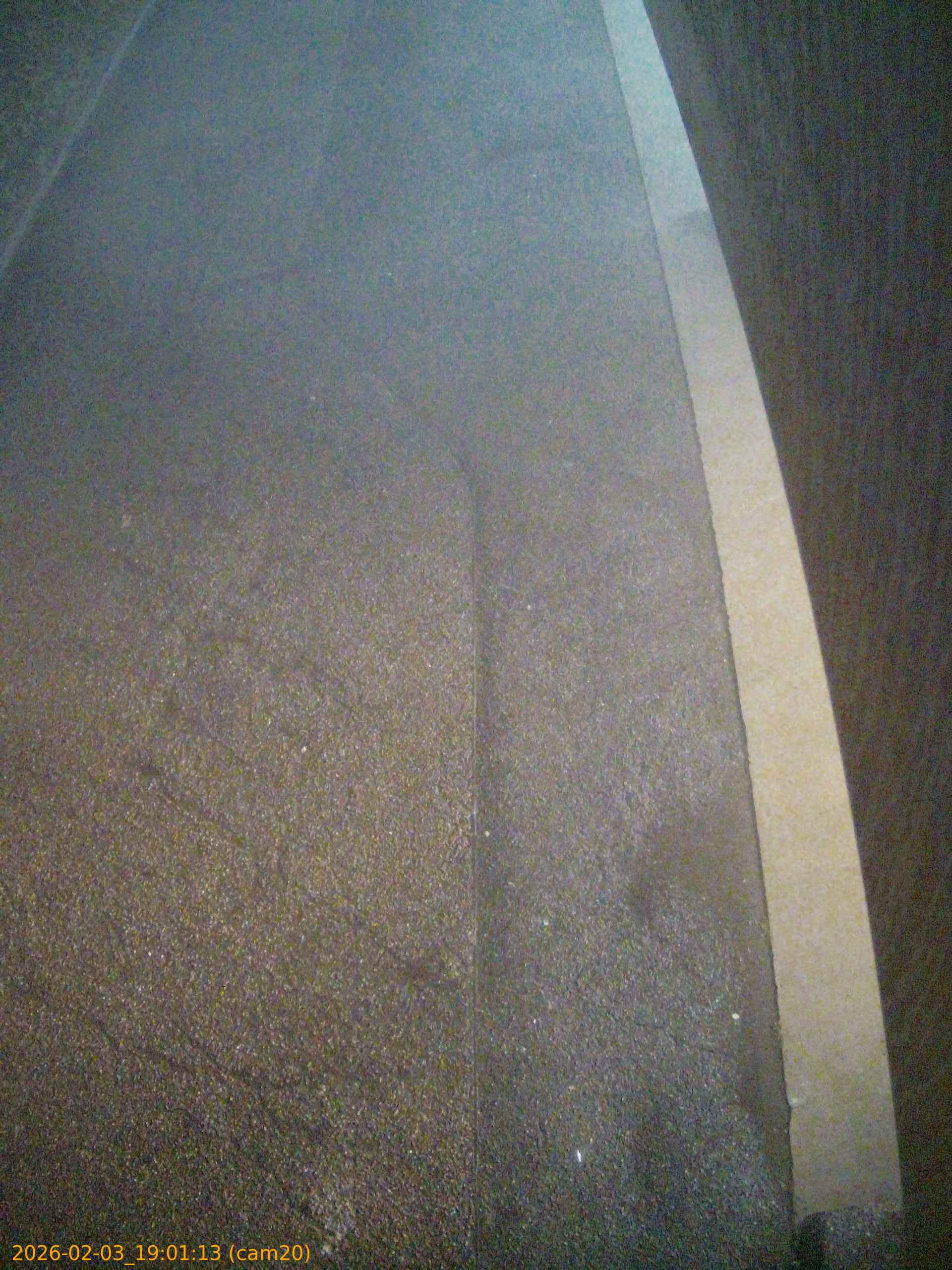 thumbnail_20260203190113