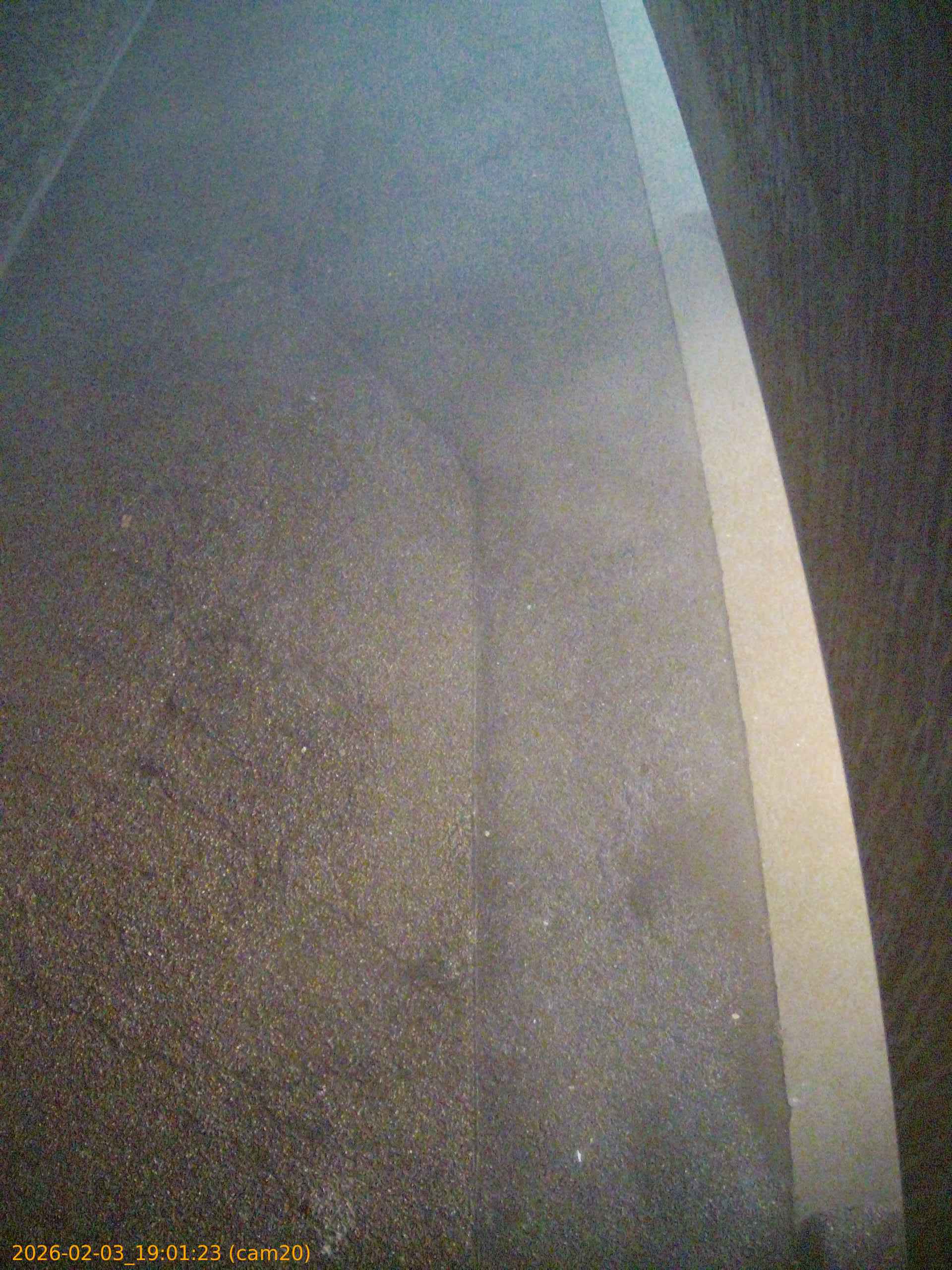 thumbnail_20260203190123