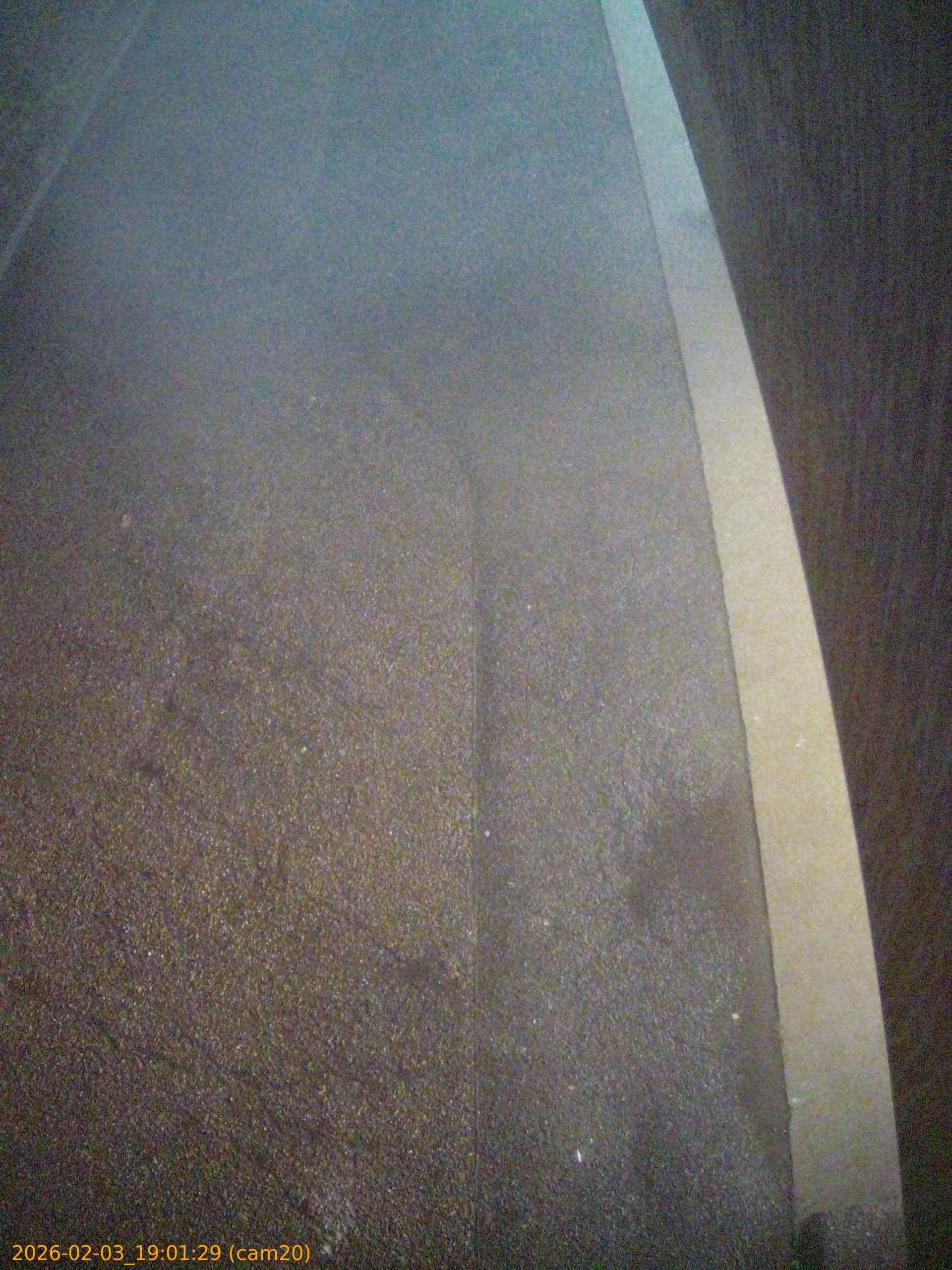 thumbnail_20260203190129