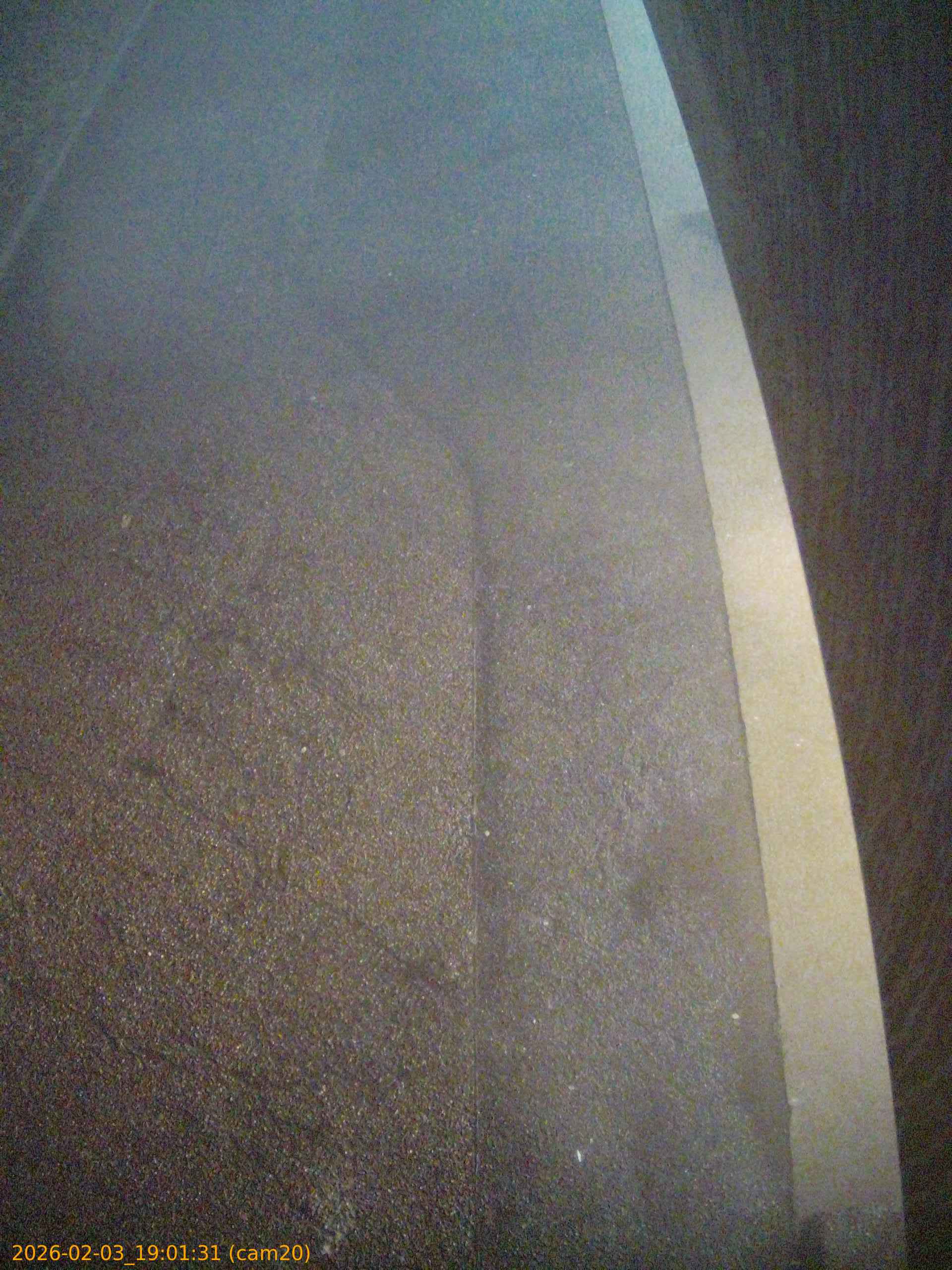 thumbnail_20260203190131