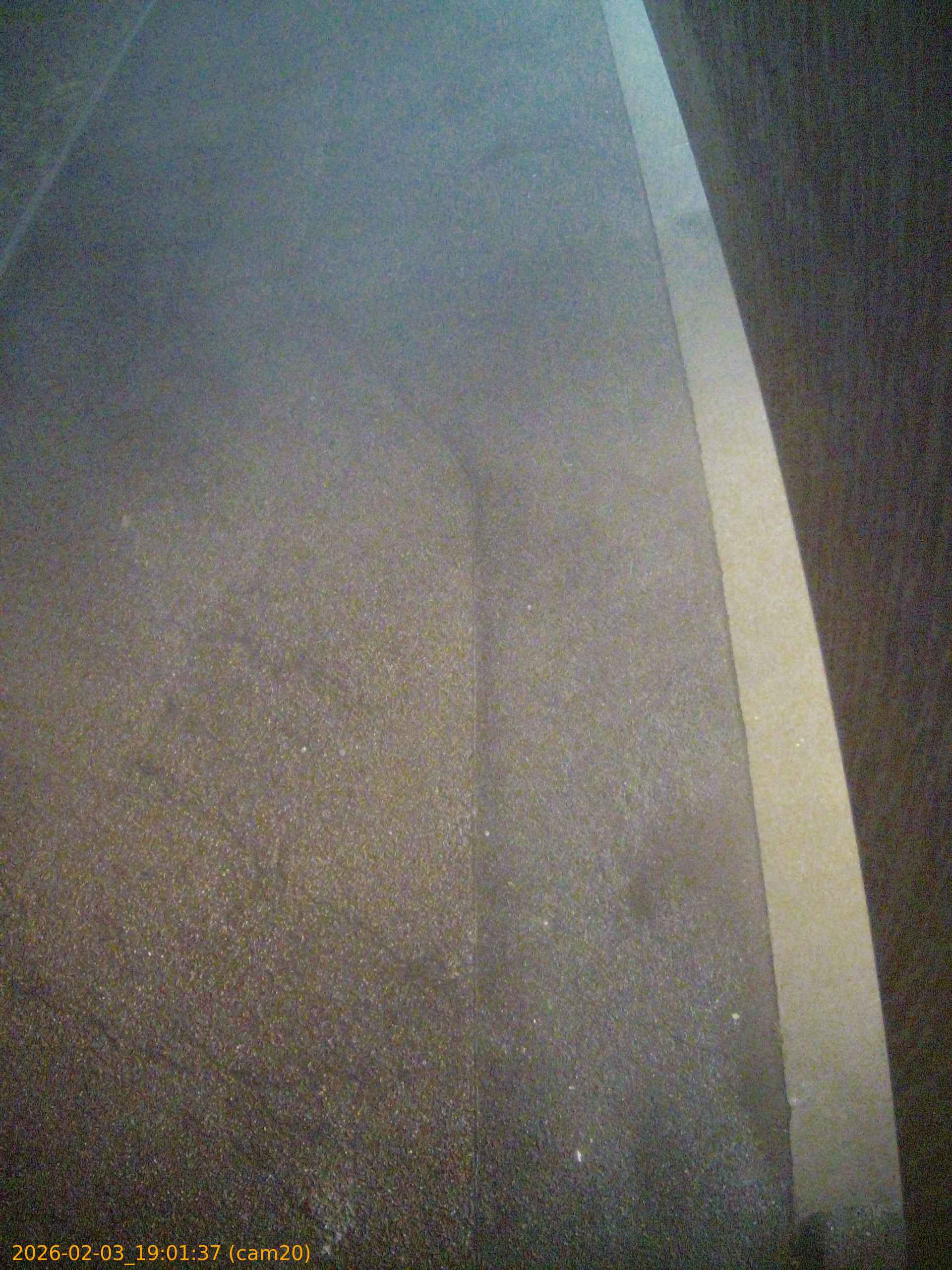 thumbnail_20260203190137