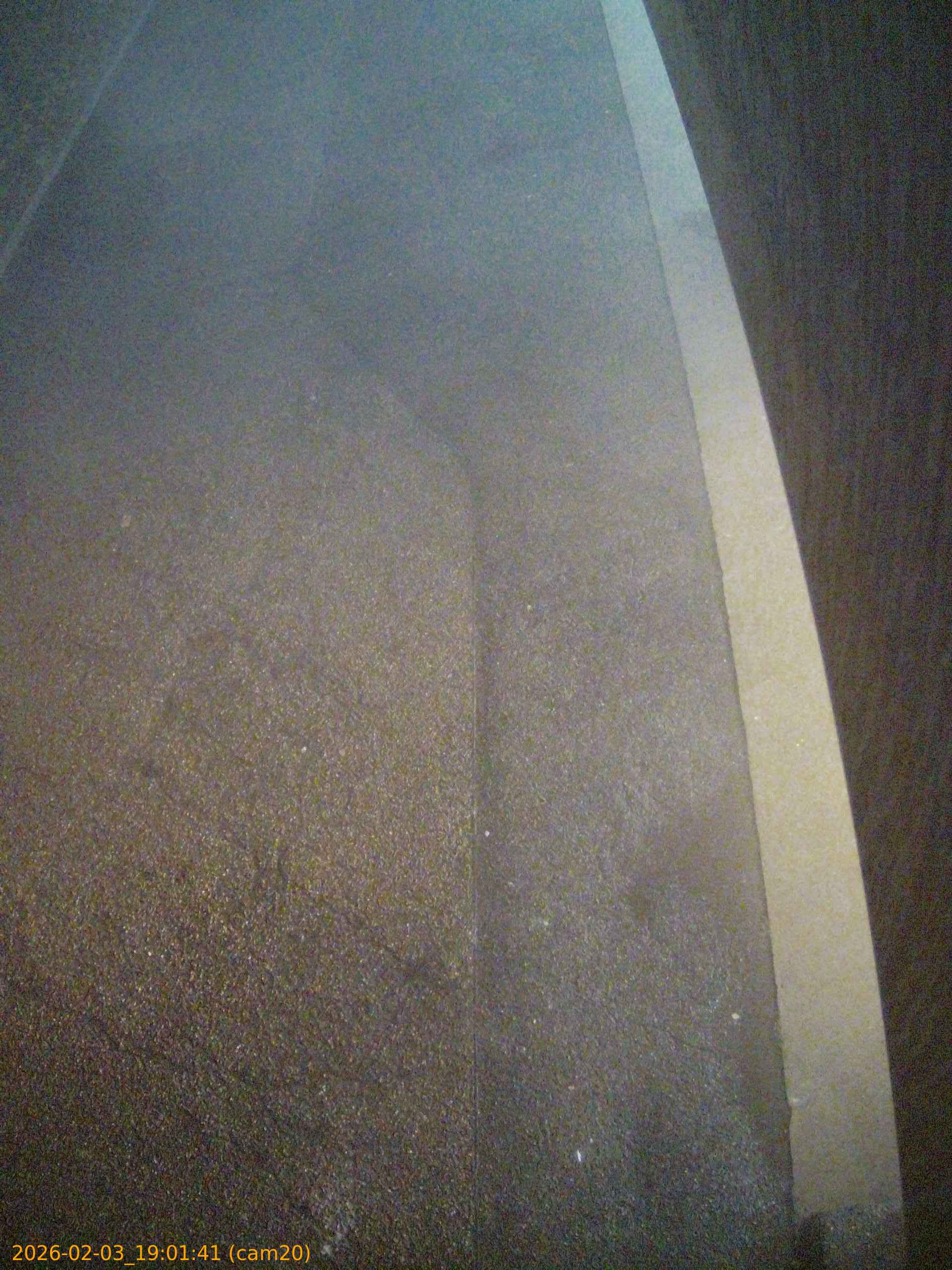 thumbnail_20260203190141