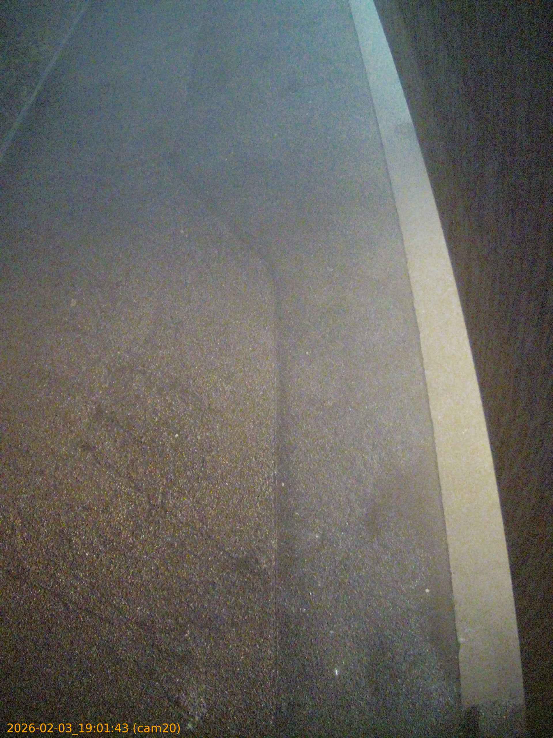 thumbnail_20260203190143