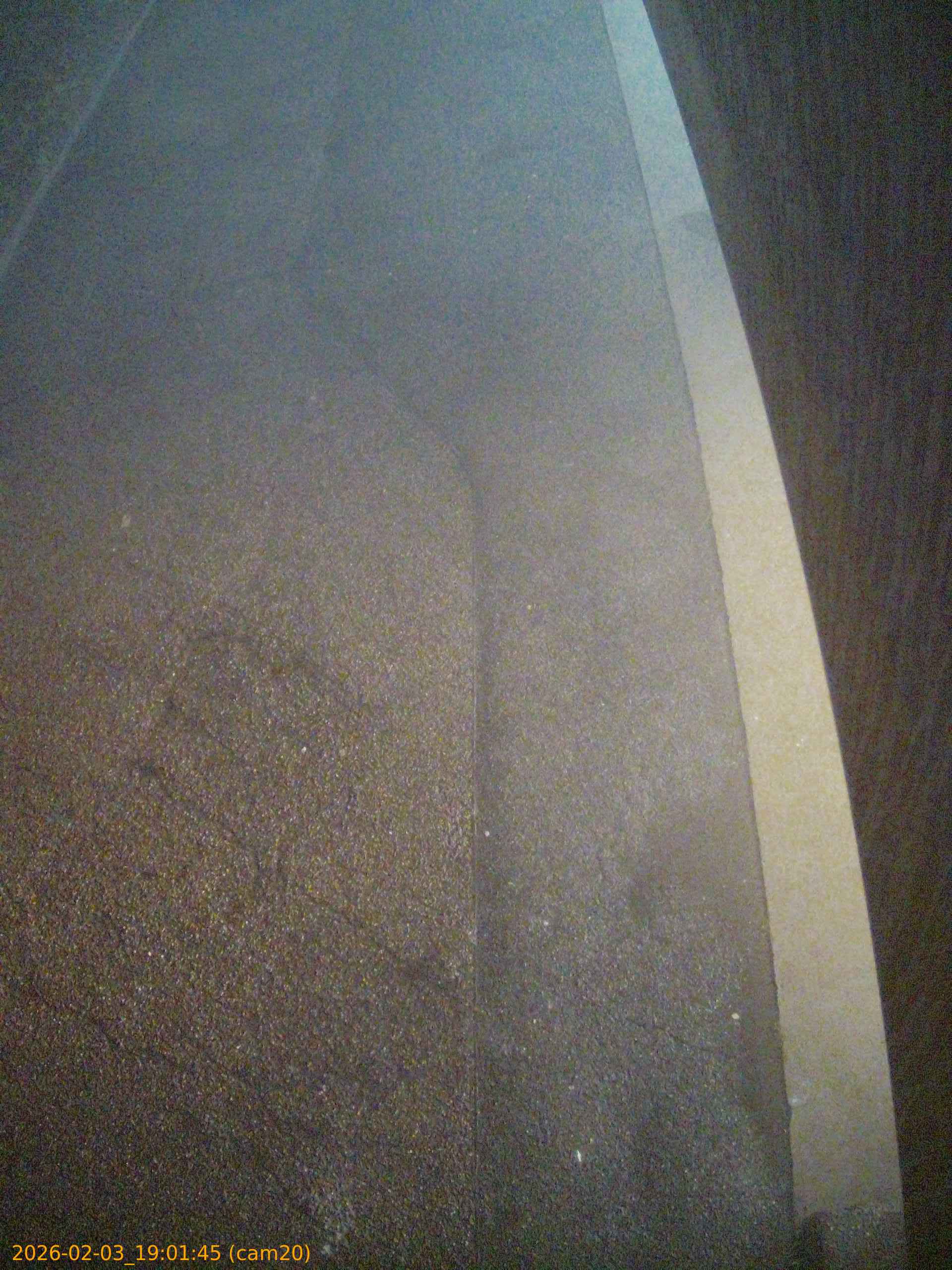 thumbnail_20260203190145