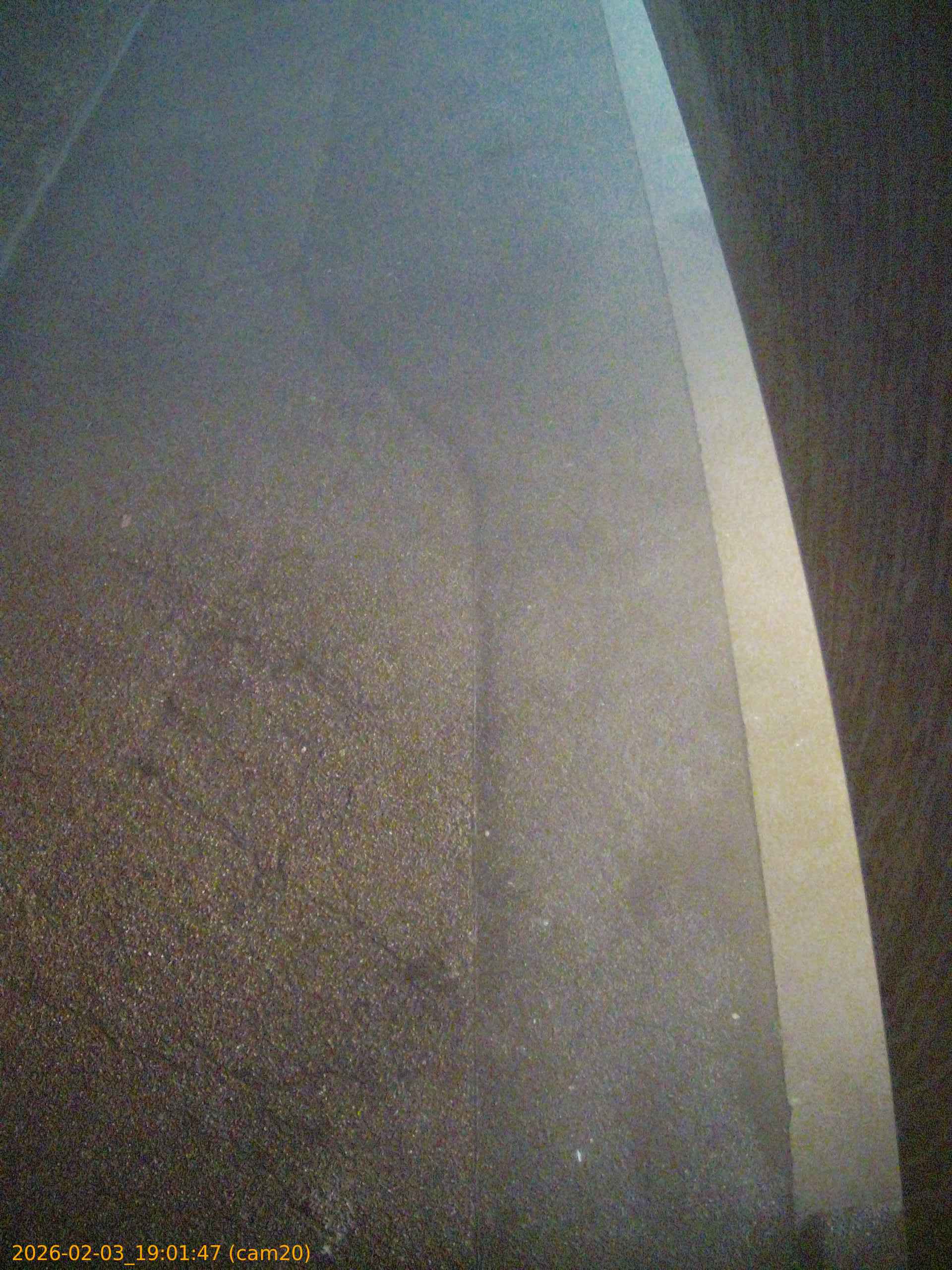 thumbnail_20260203190147