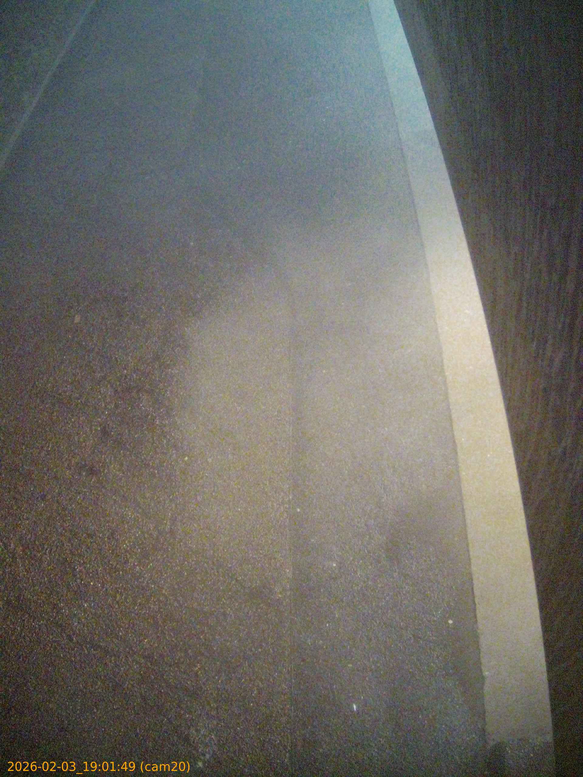 thumbnail_20260203190149