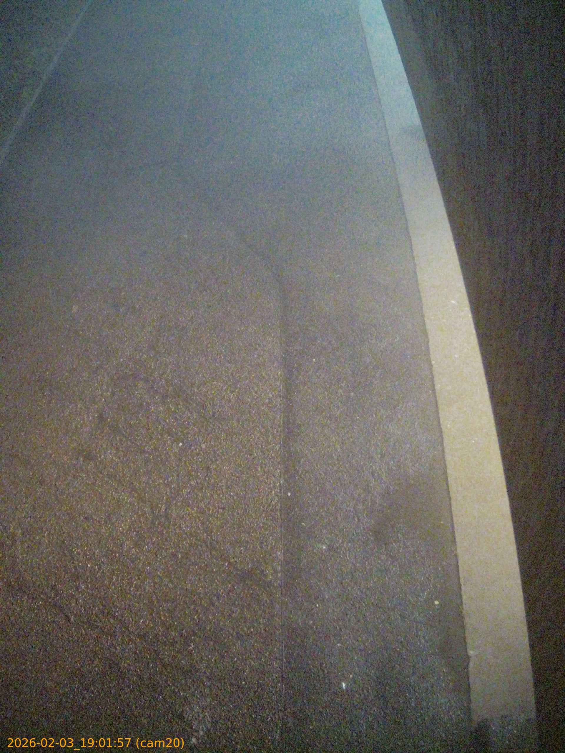 thumbnail_20260203190157