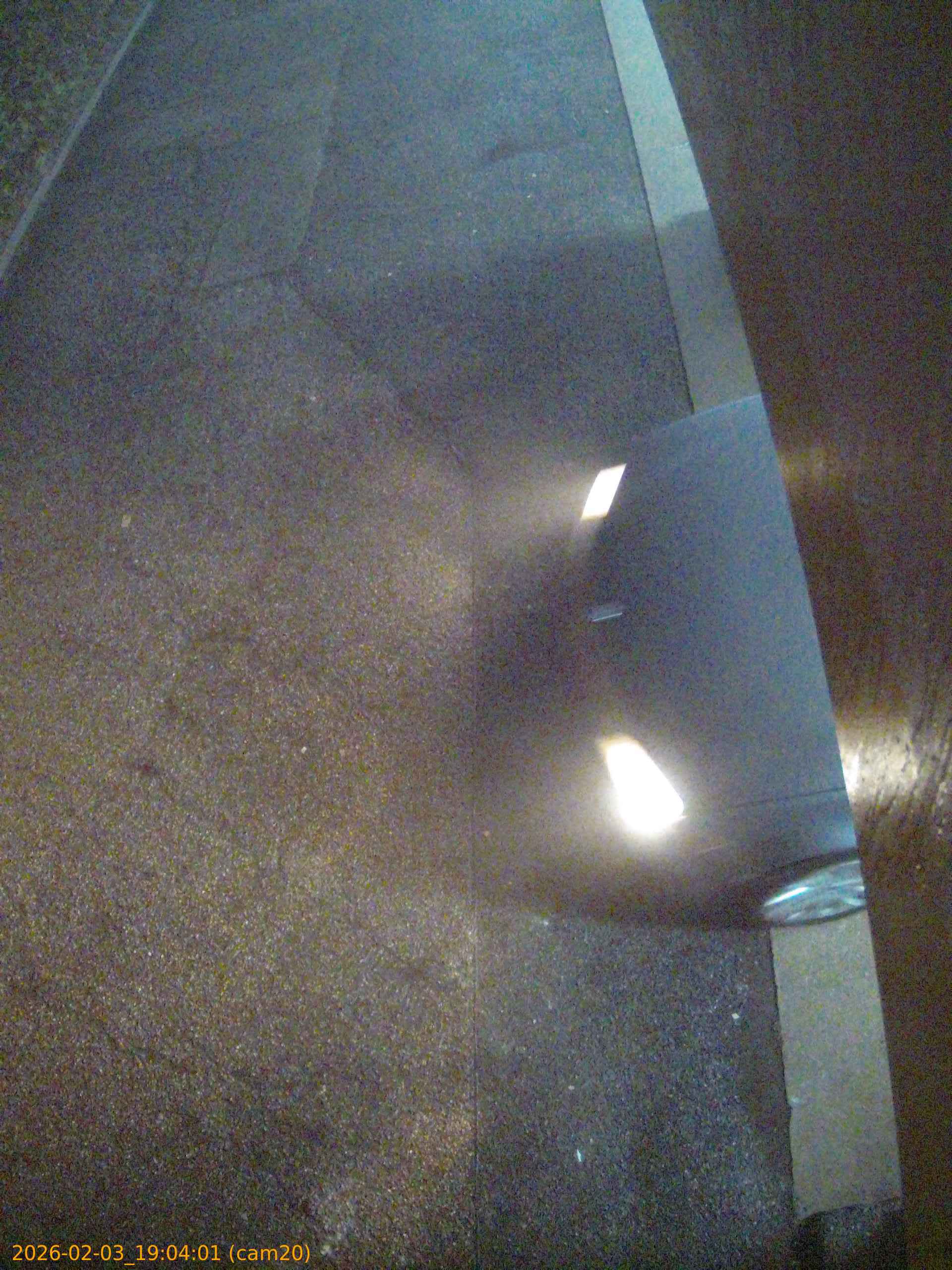 thumbnail_20260203190401