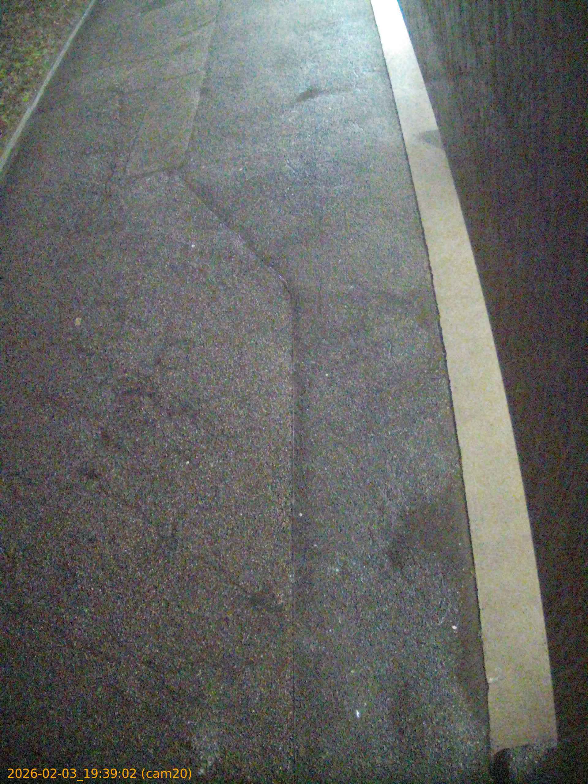 thumbnail_20260203193902