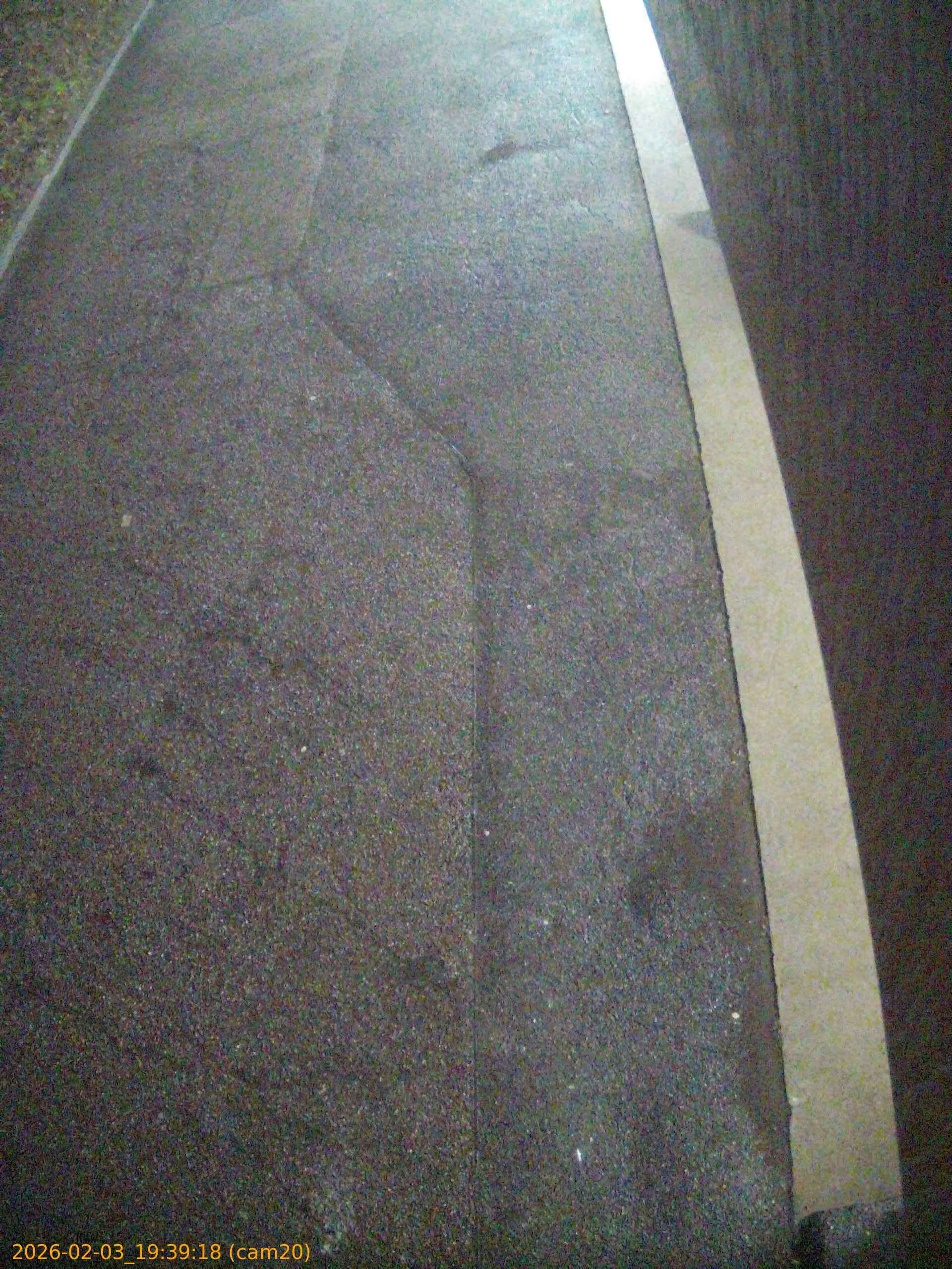 thumbnail_20260203193918