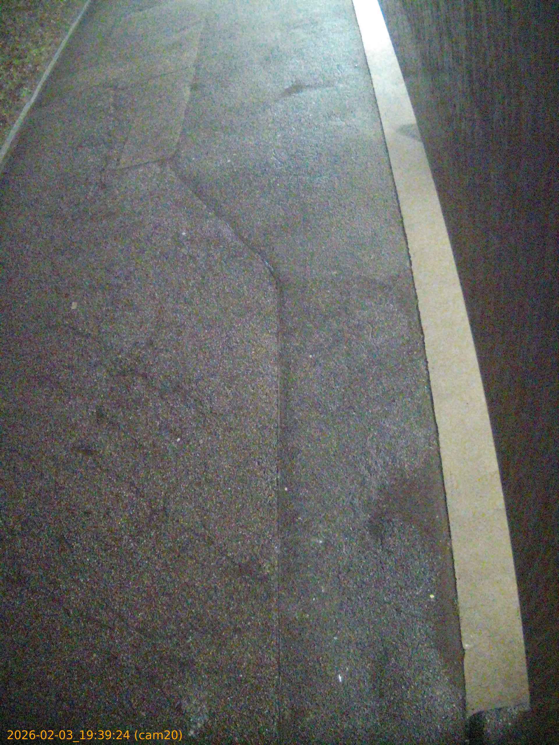 thumbnail_20260203193924