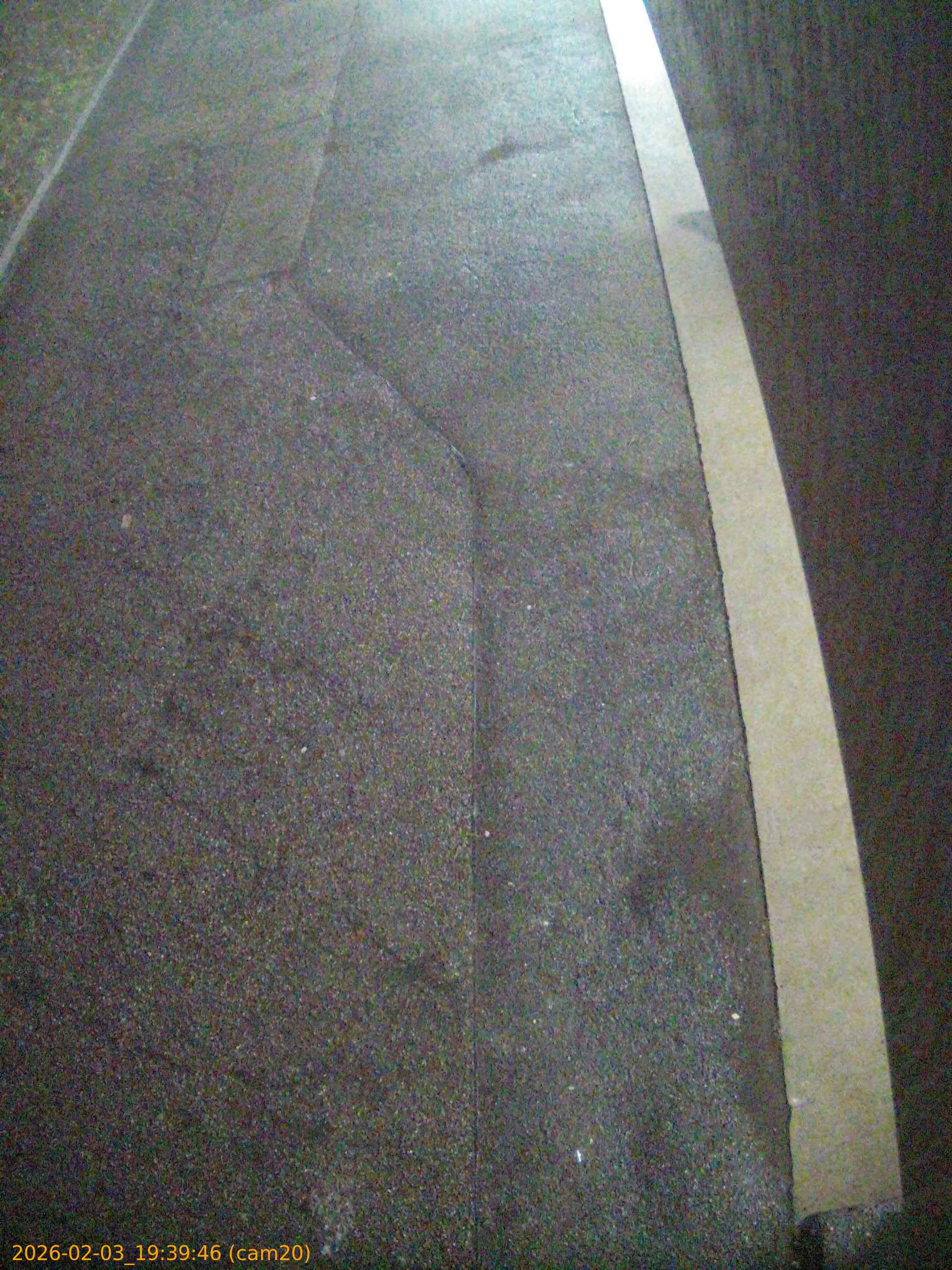 thumbnail_20260203193946