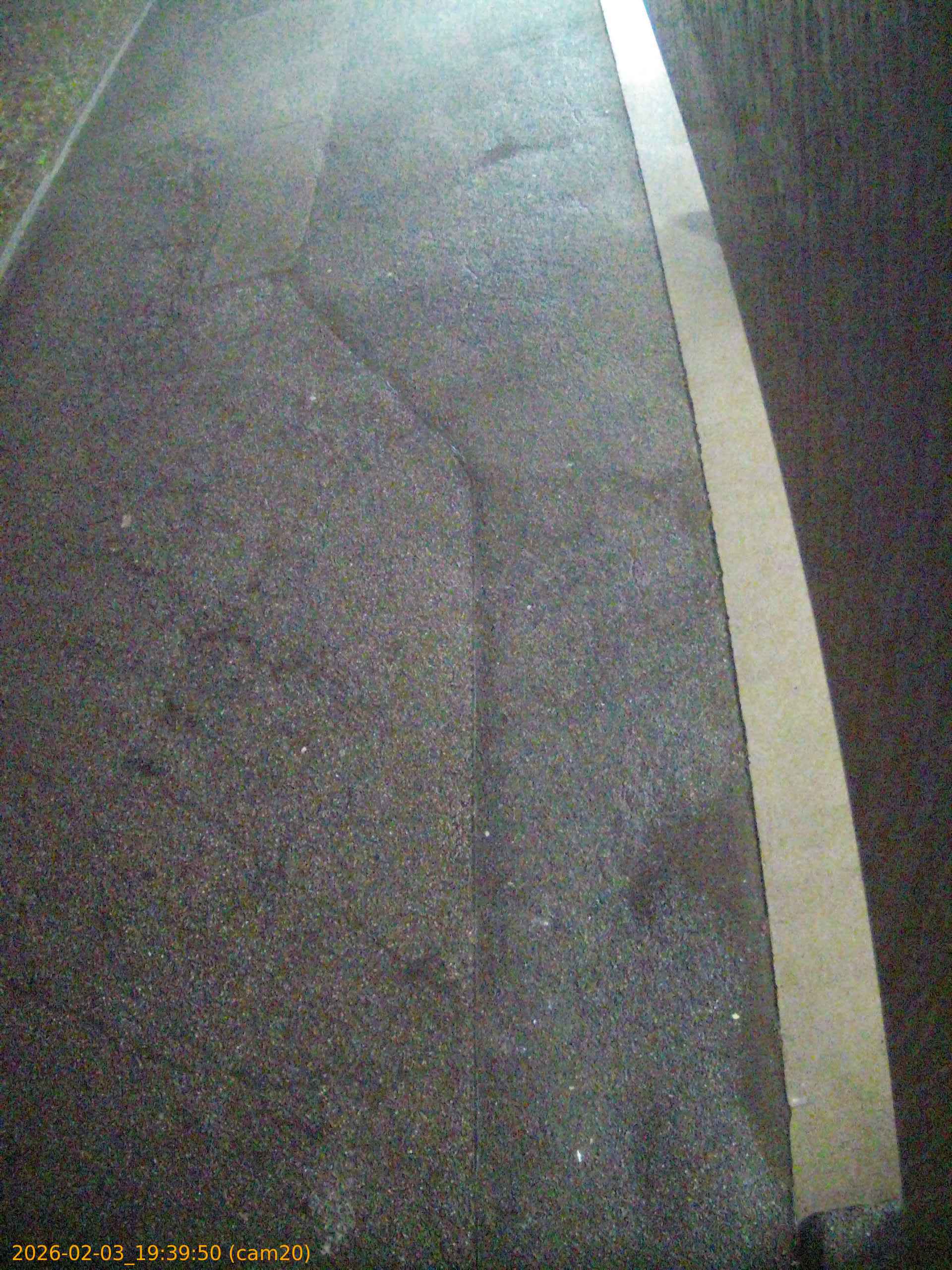 thumbnail_20260203193950