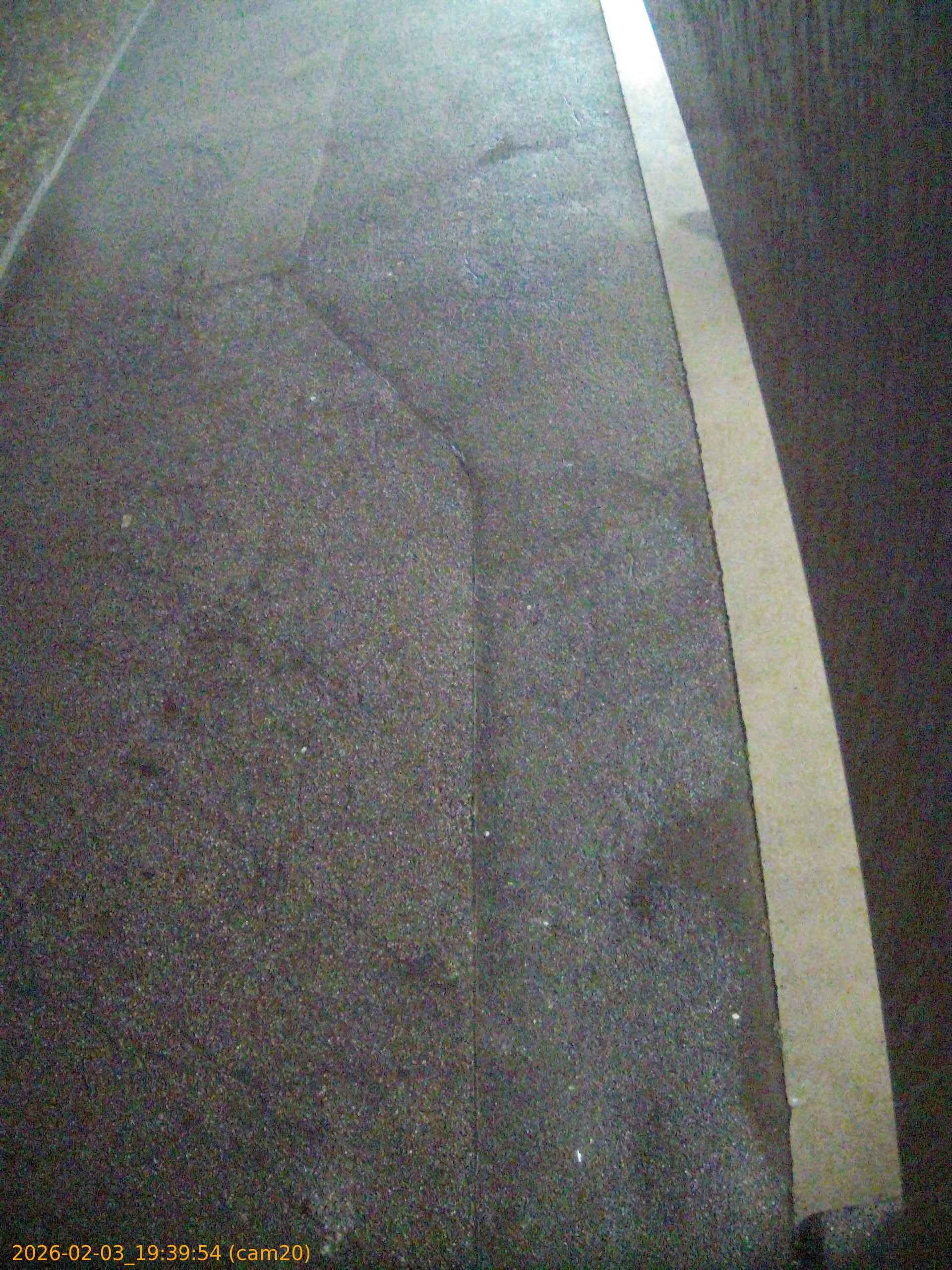 thumbnail_20260203193954