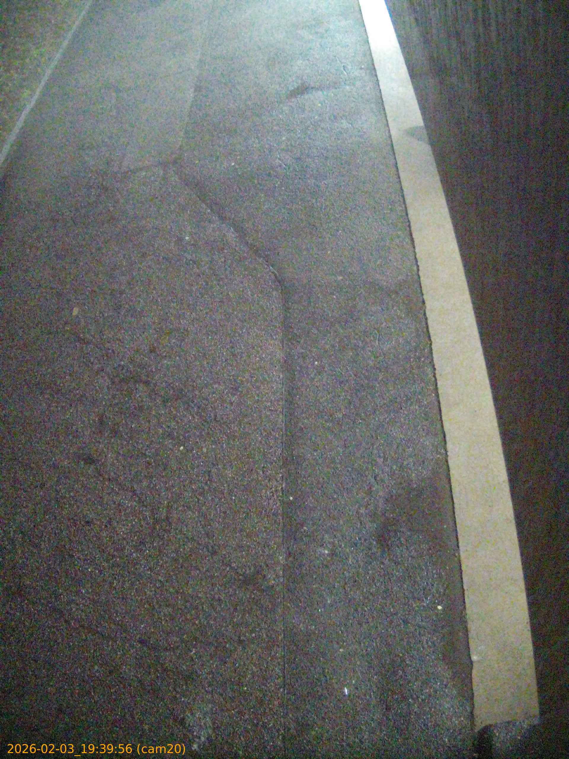 thumbnail_20260203193956