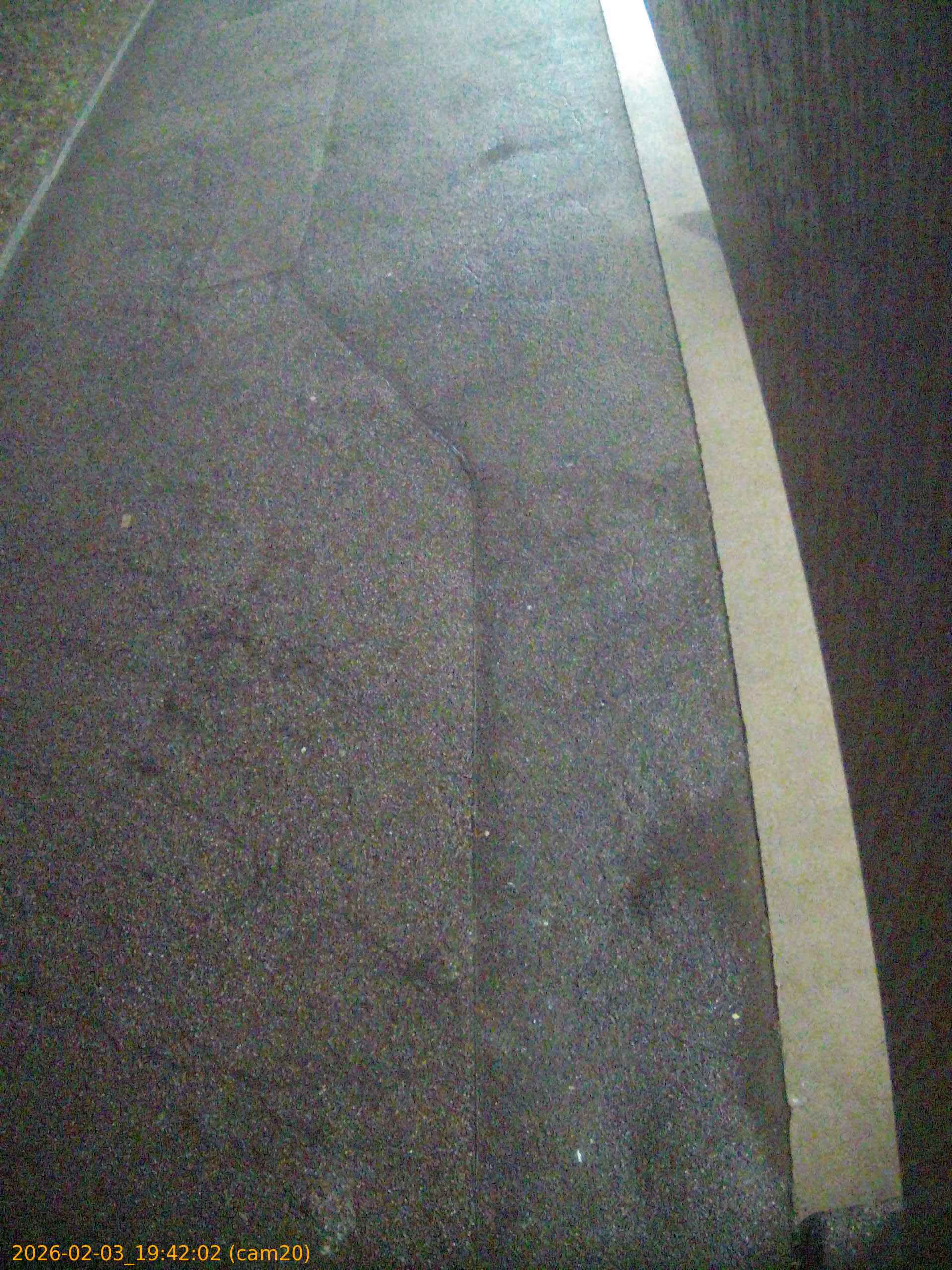 thumbnail_20260203194202