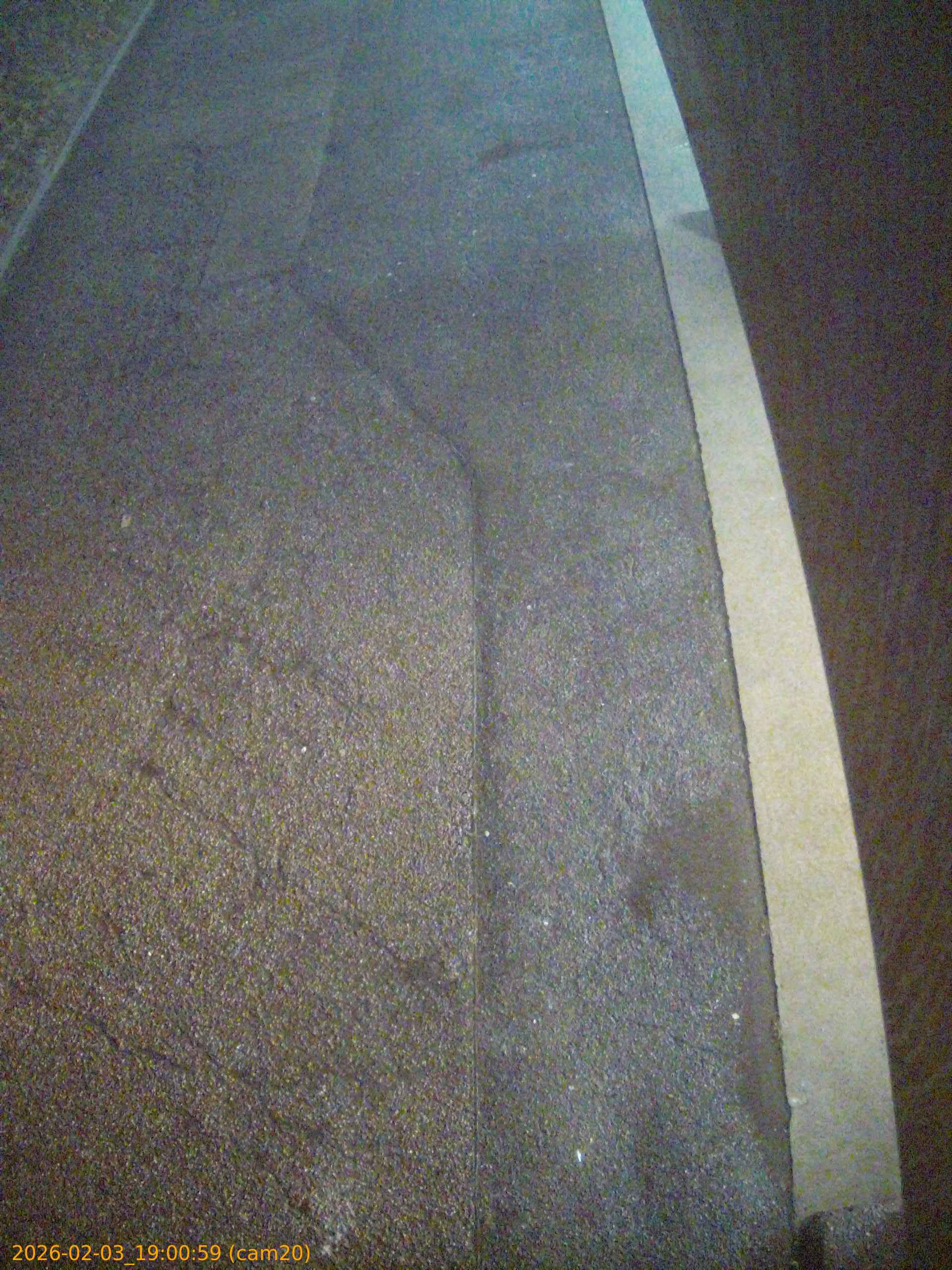 thumbnail_202602031900