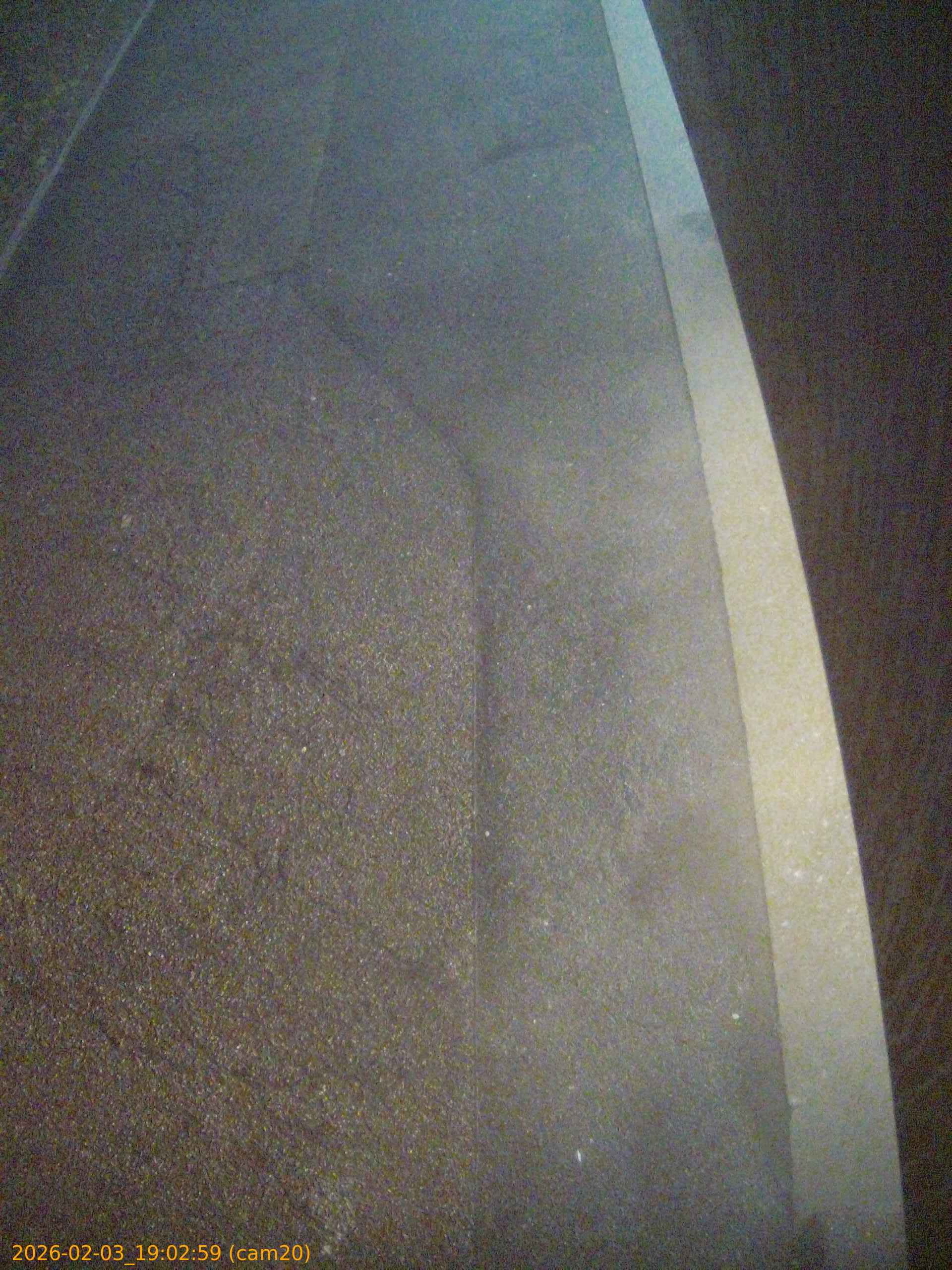 thumbnail_202602031902