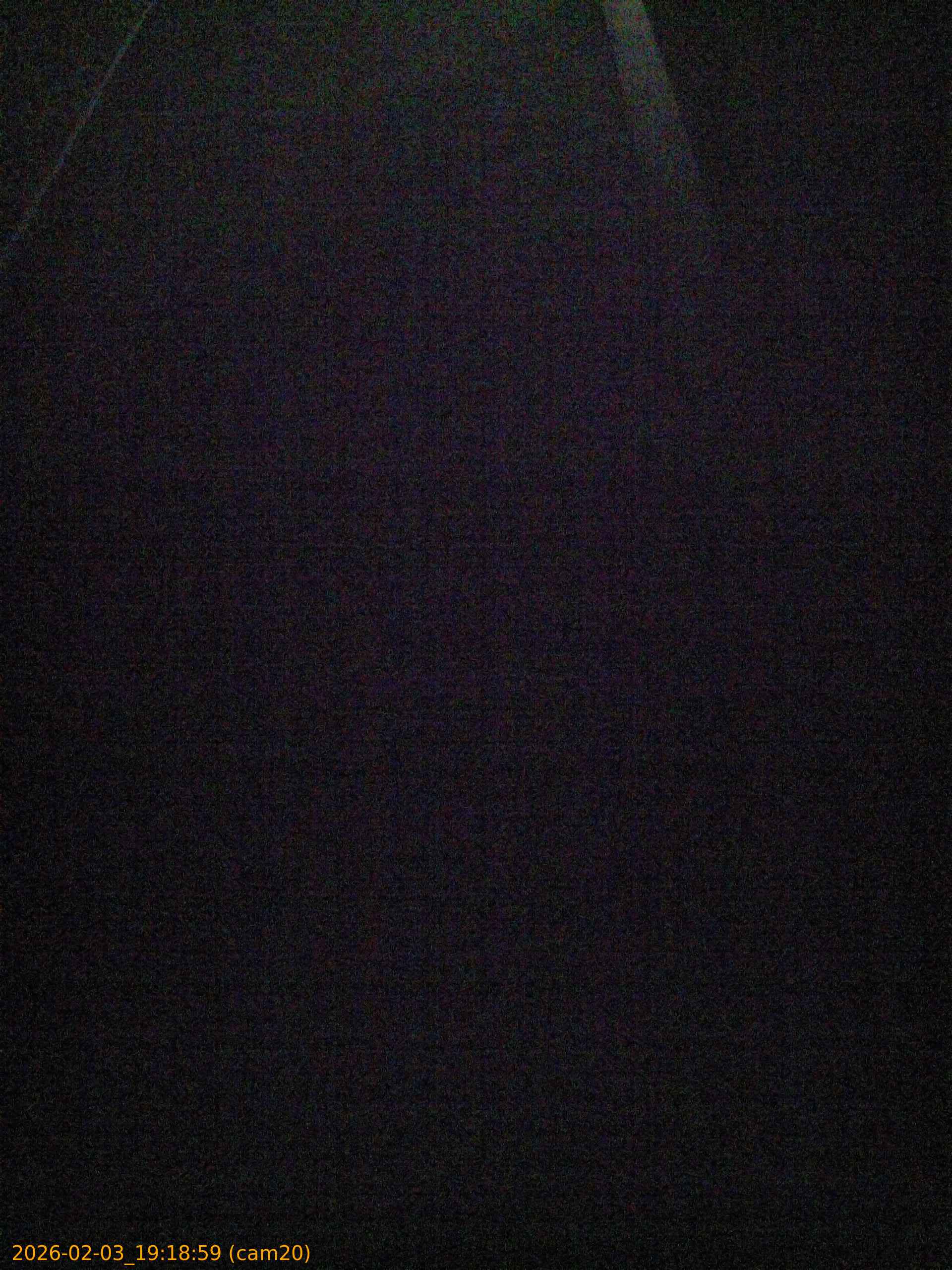 thumbnail_202602031918