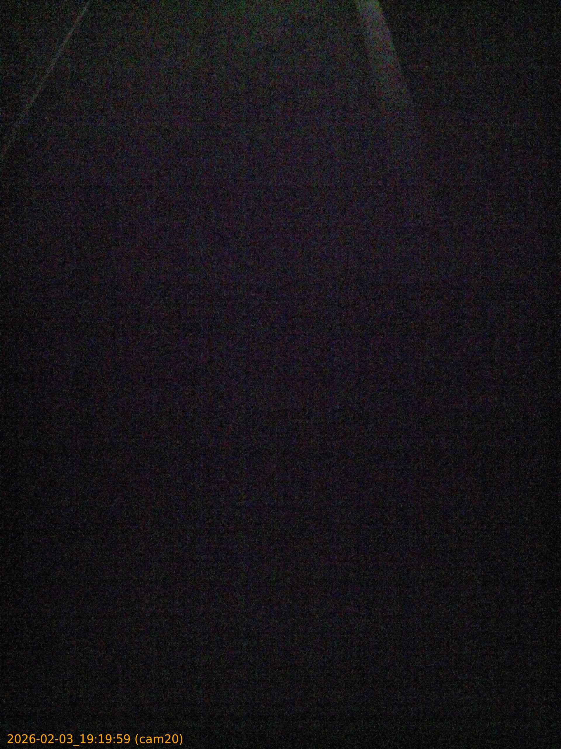 thumbnail_202602031919