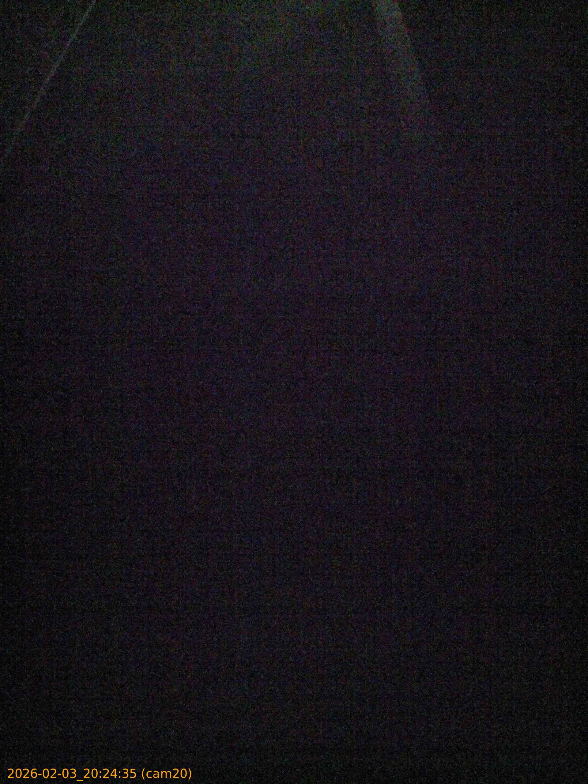 20260203202435