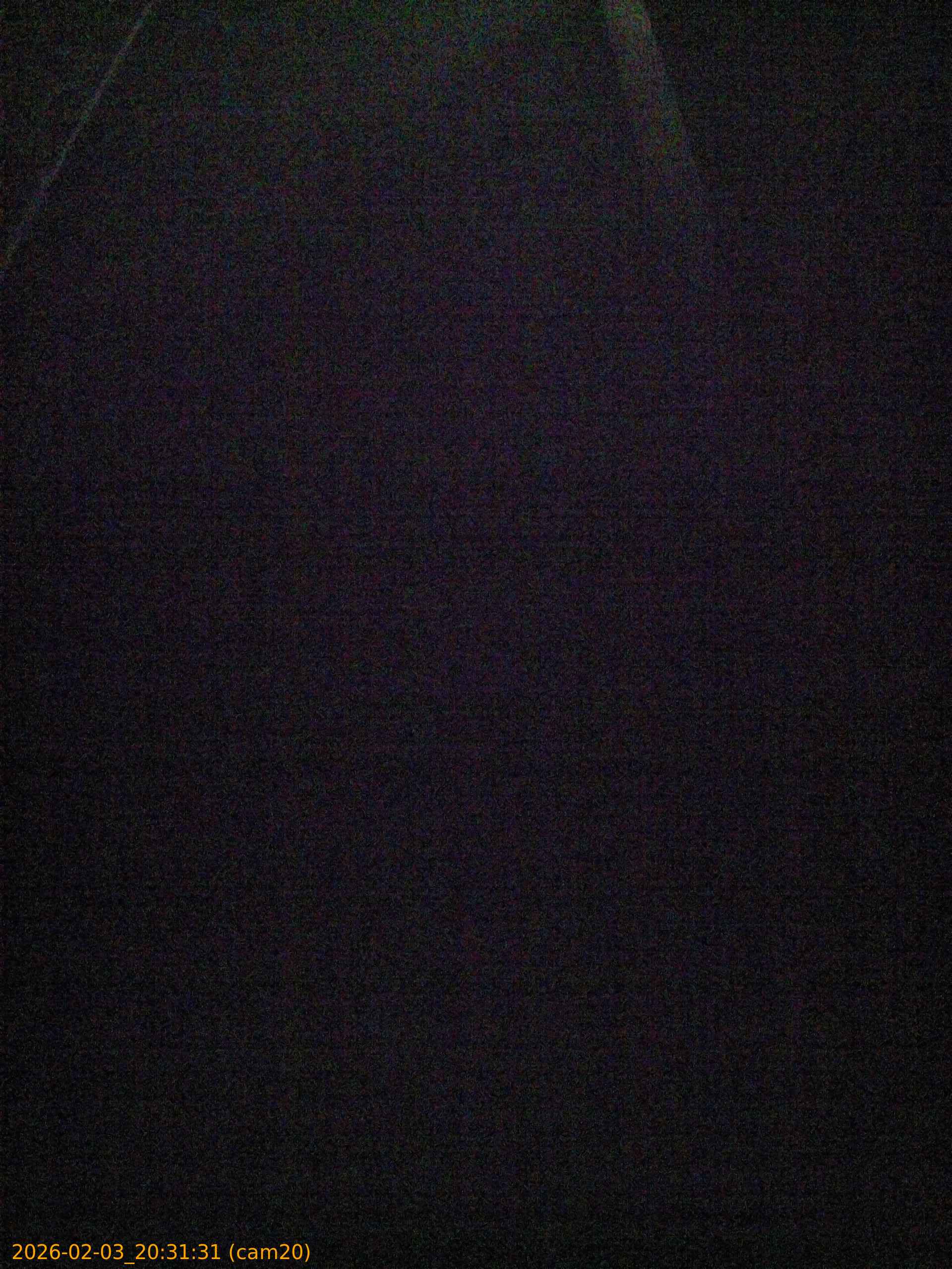 20260203203131