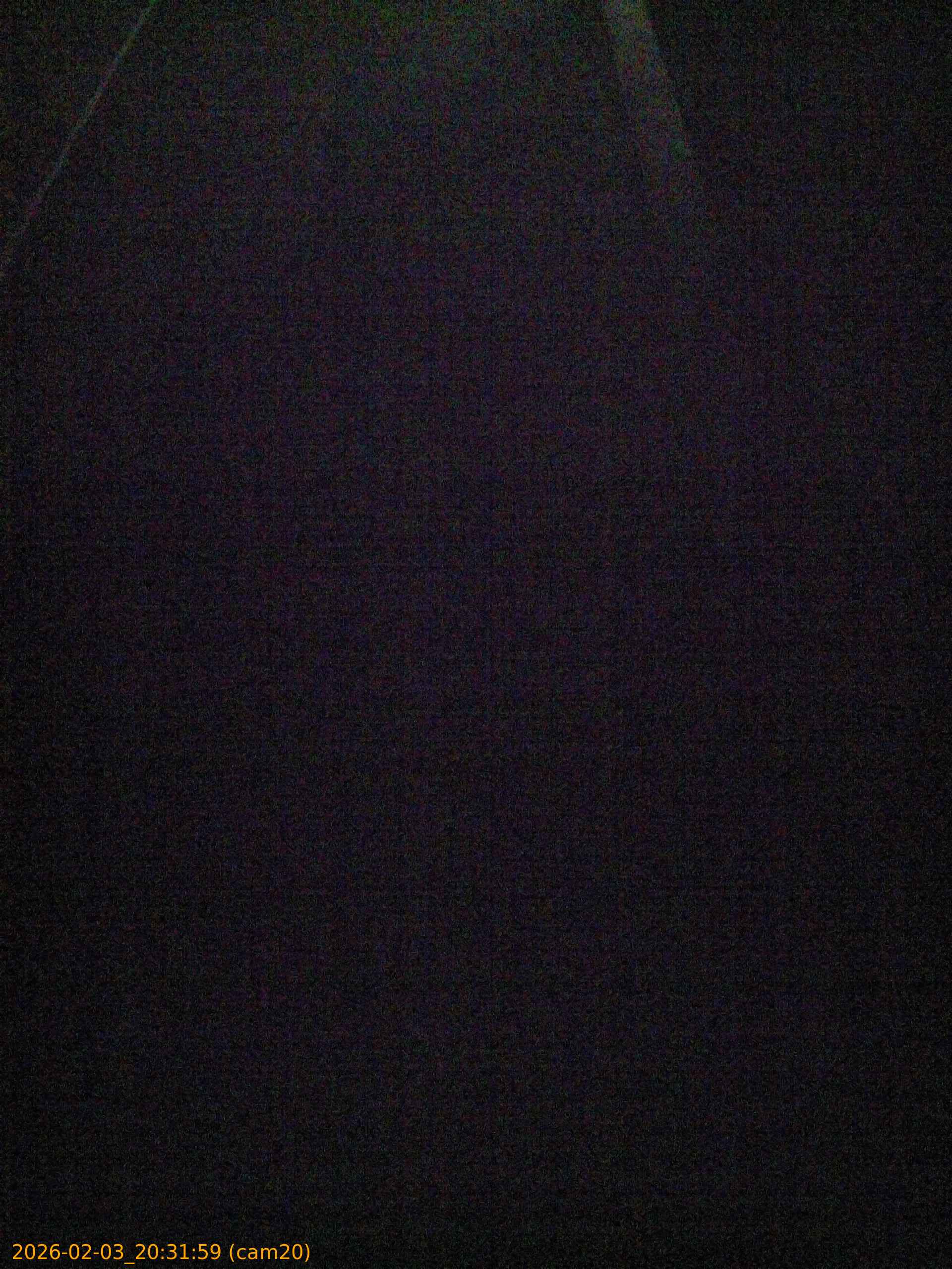 20260203203159