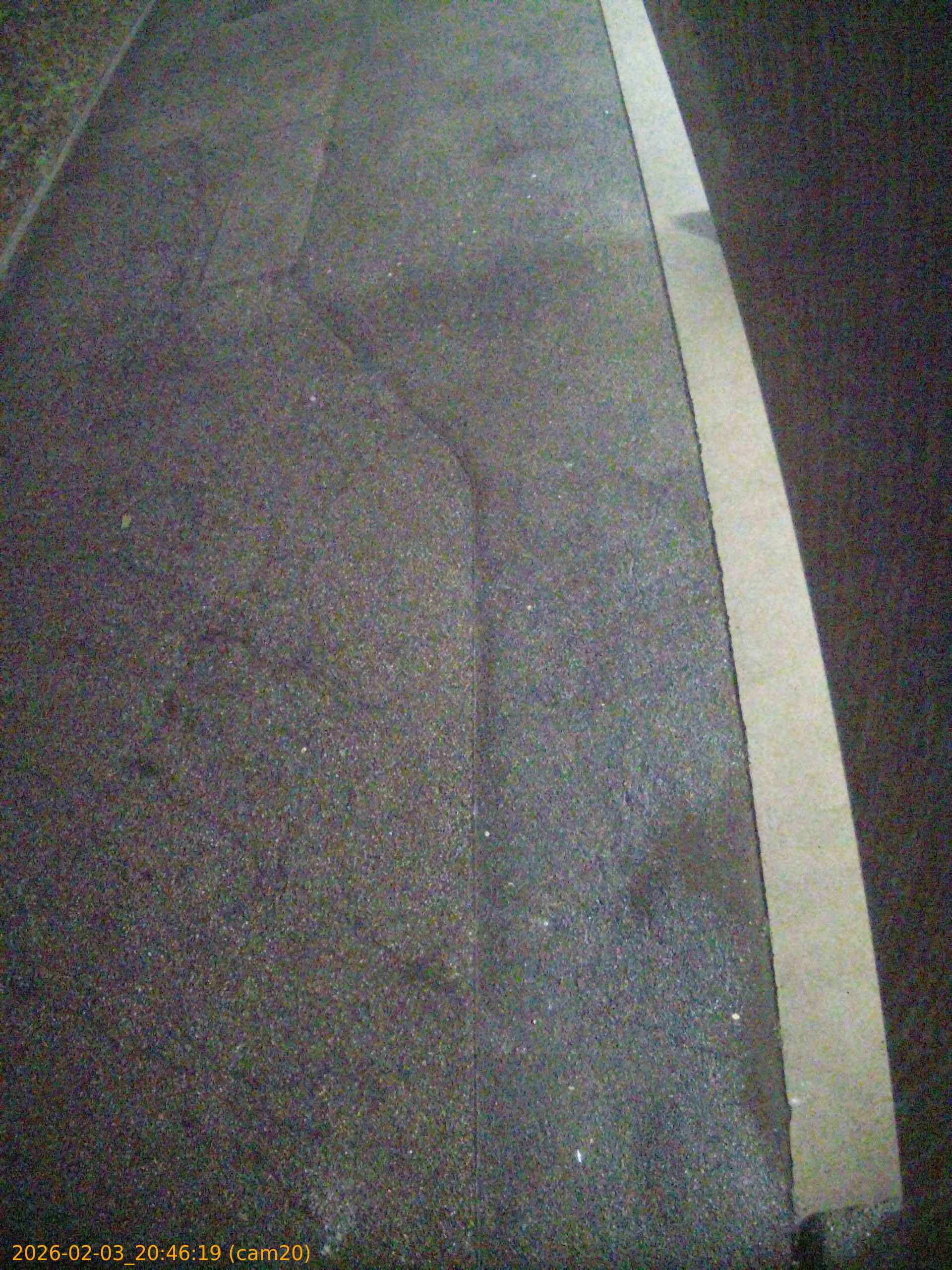 thumbnail_20260203204619