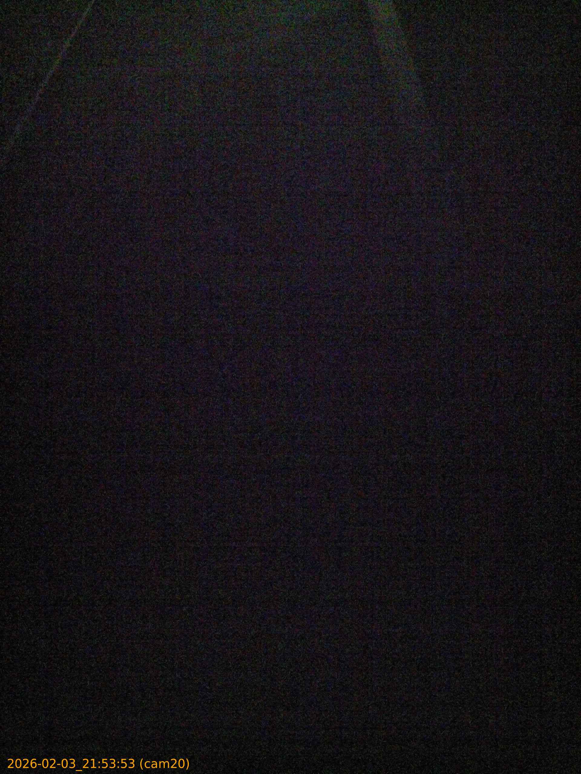 20260203215353