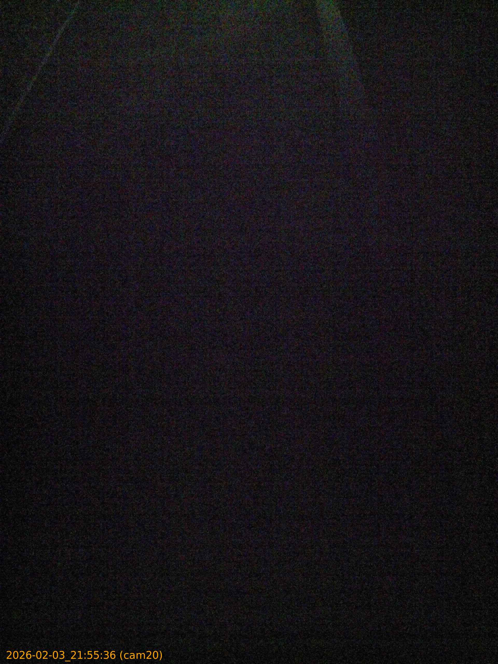 20260203215536