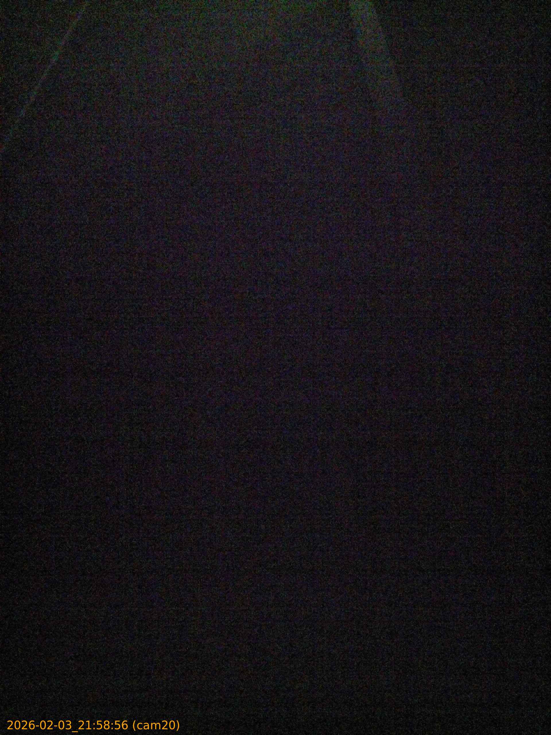 20260203215856