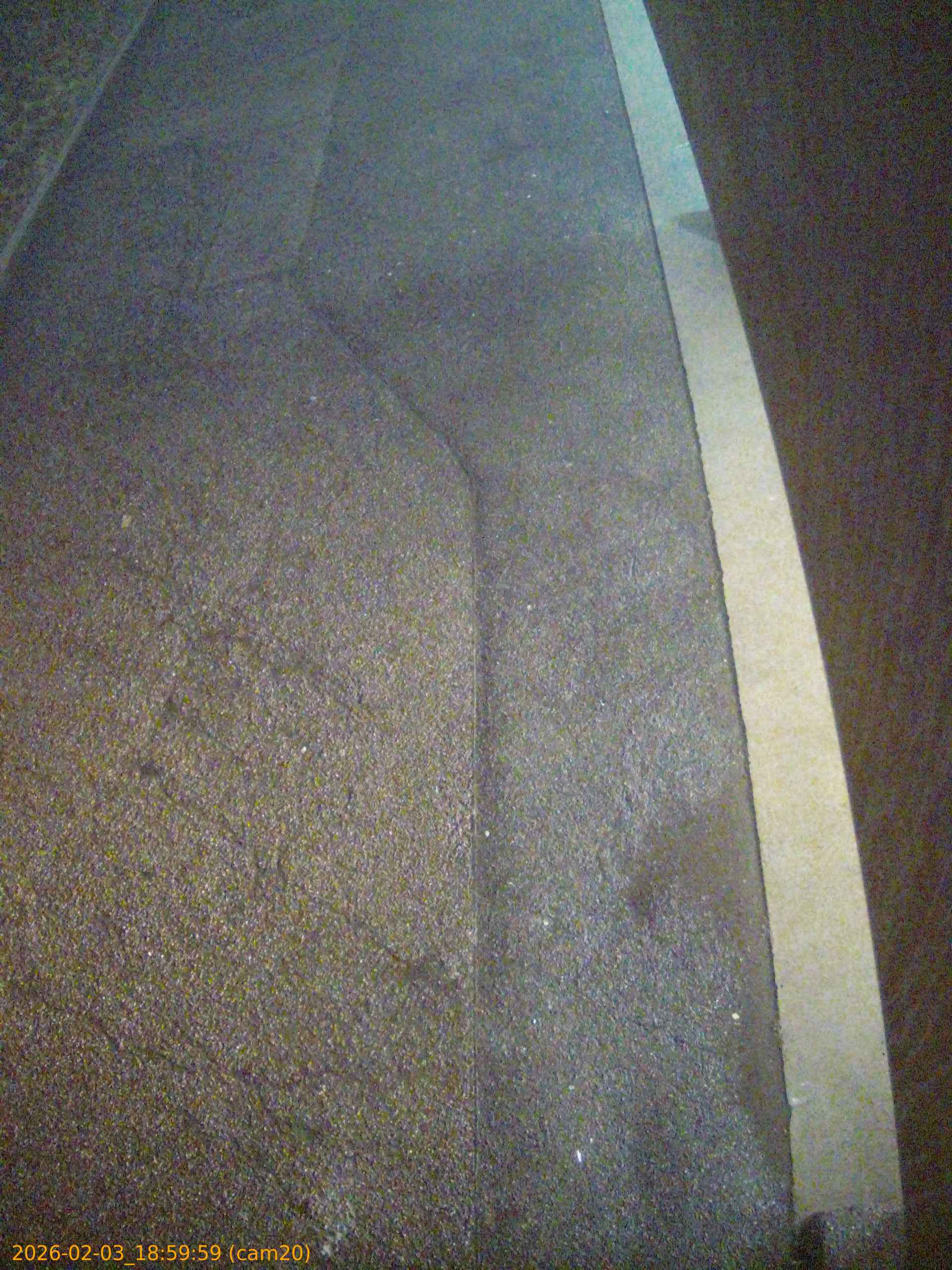 thumbnail_2026020318