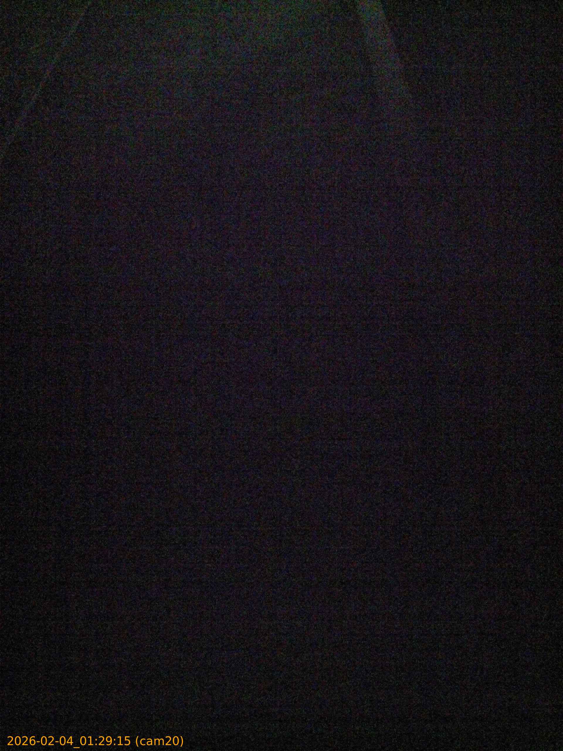 20260204012915