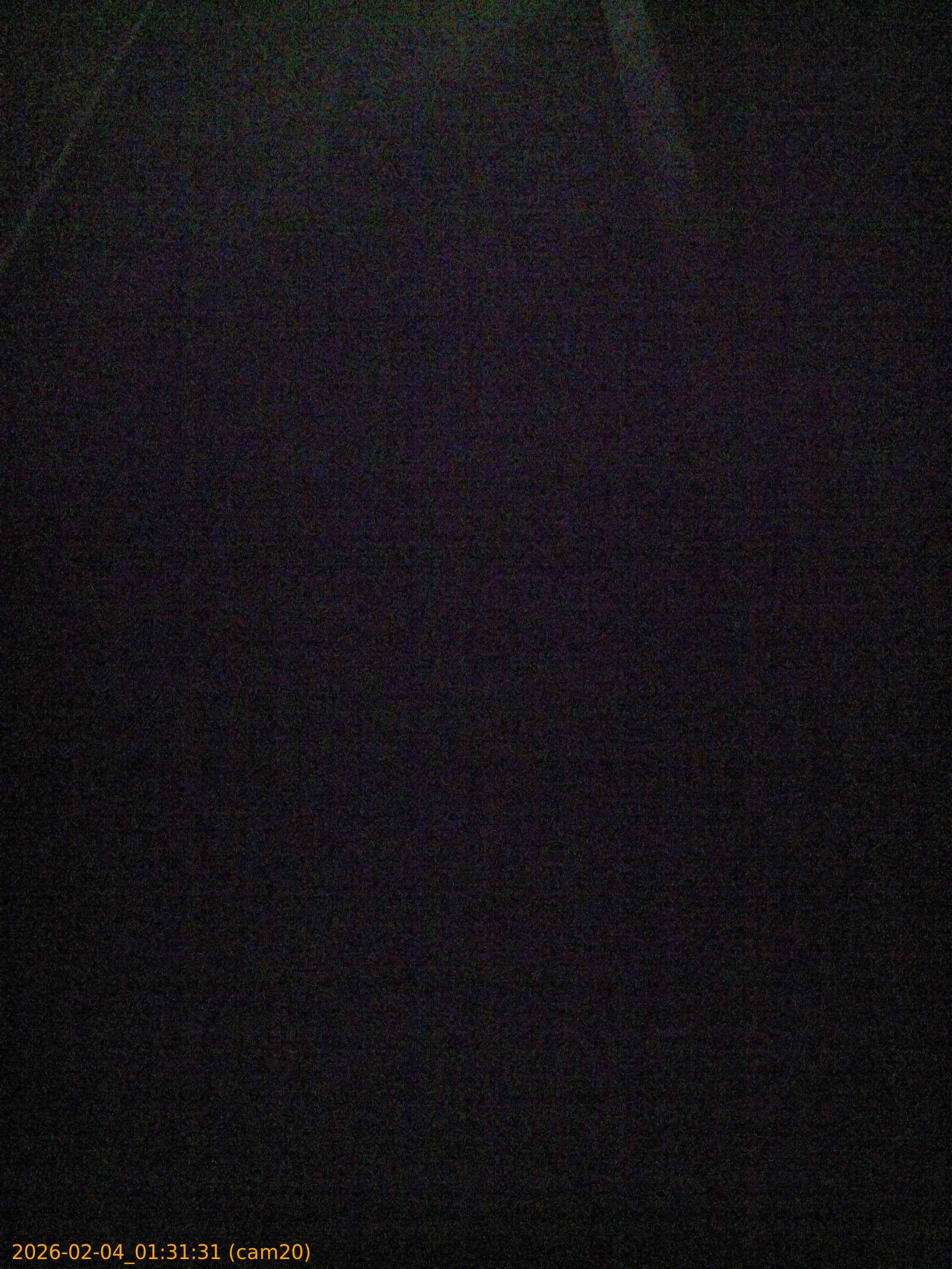 thumbnail_20260204013131