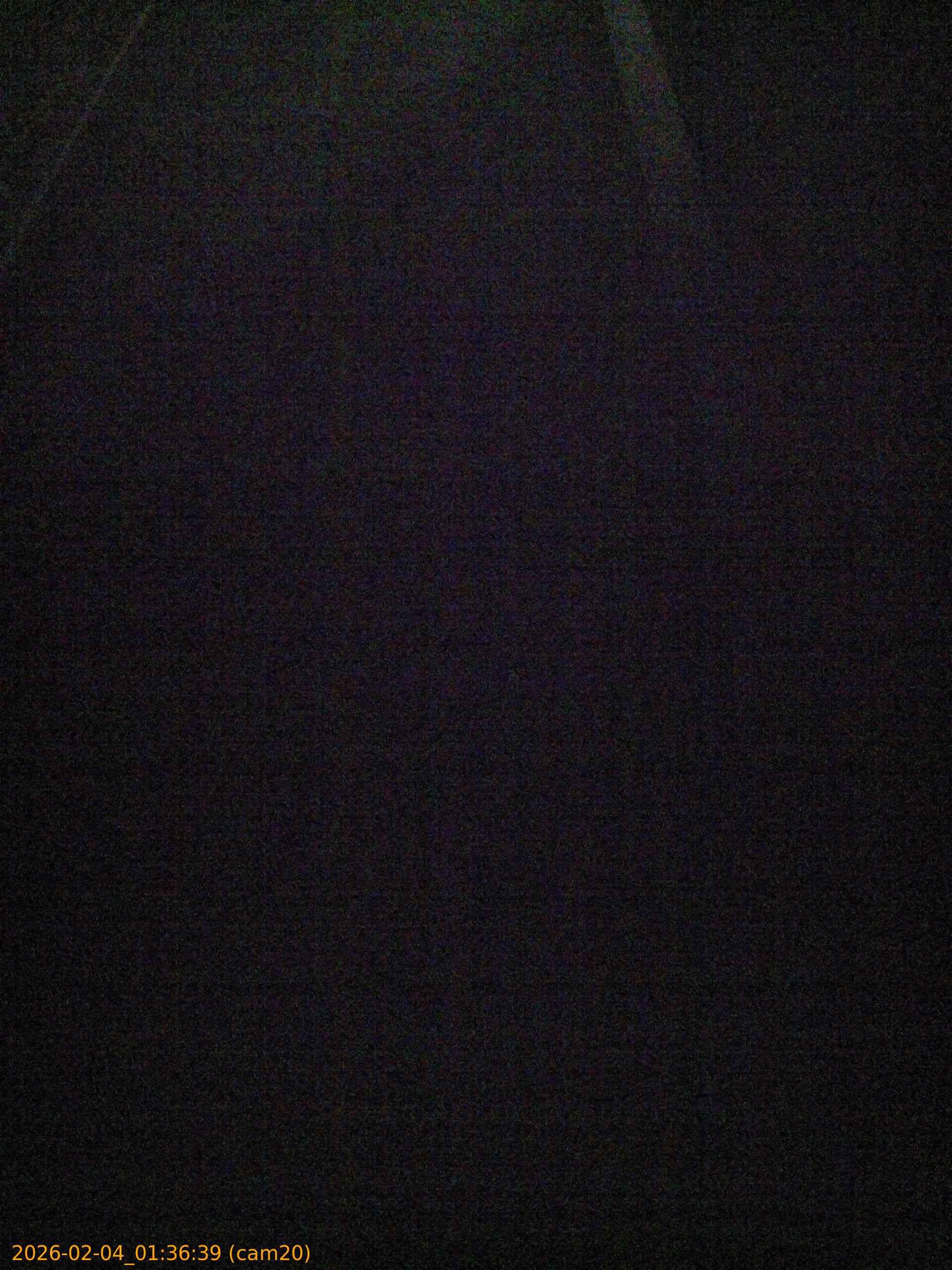 thumbnail_20260204013639