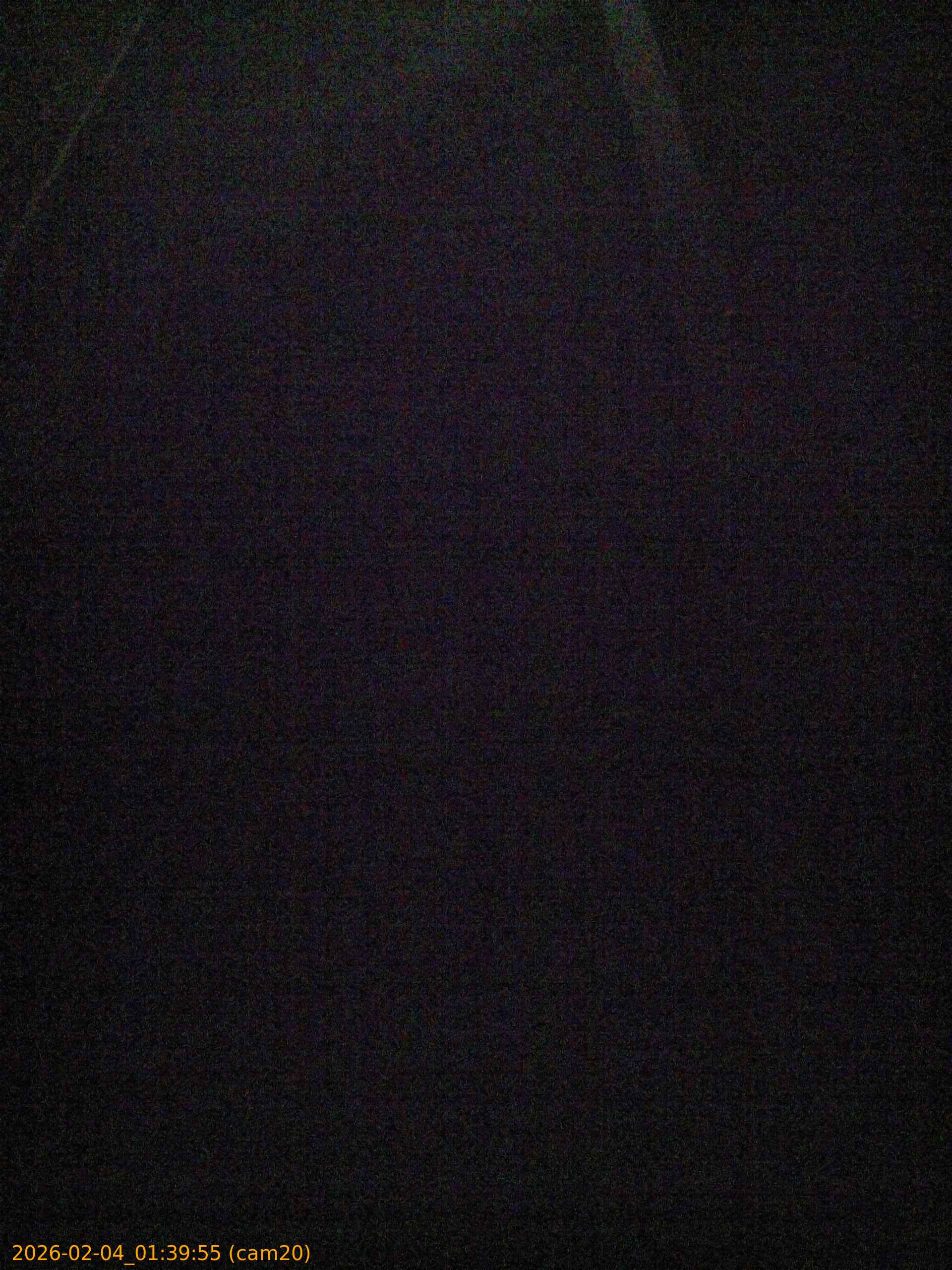 thumbnail_20260204013955