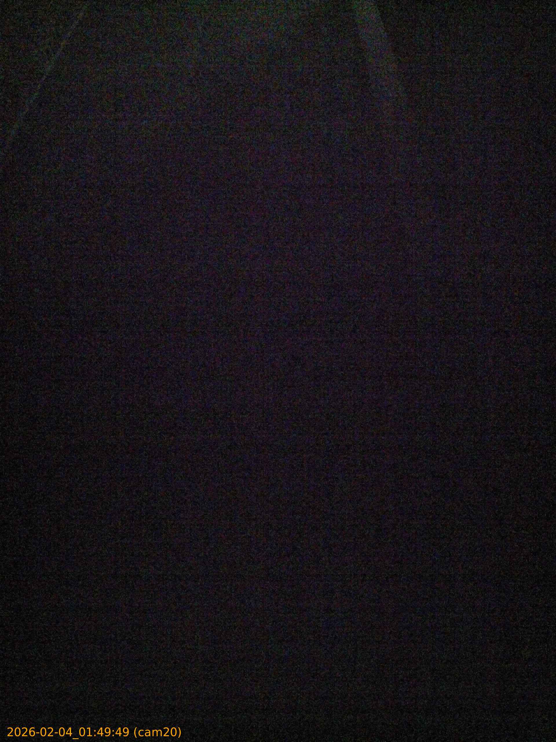 20260204014949