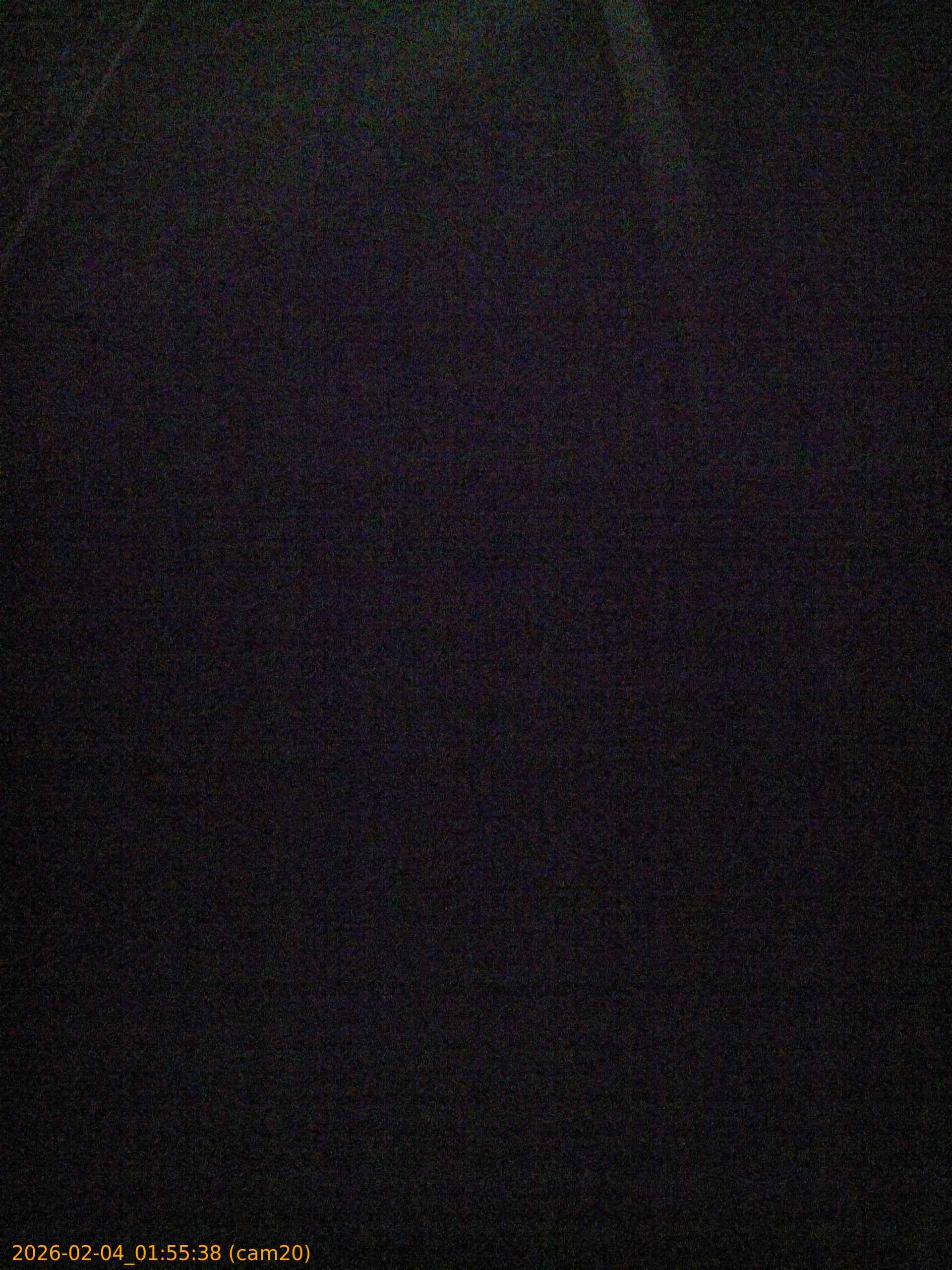 20260204015538