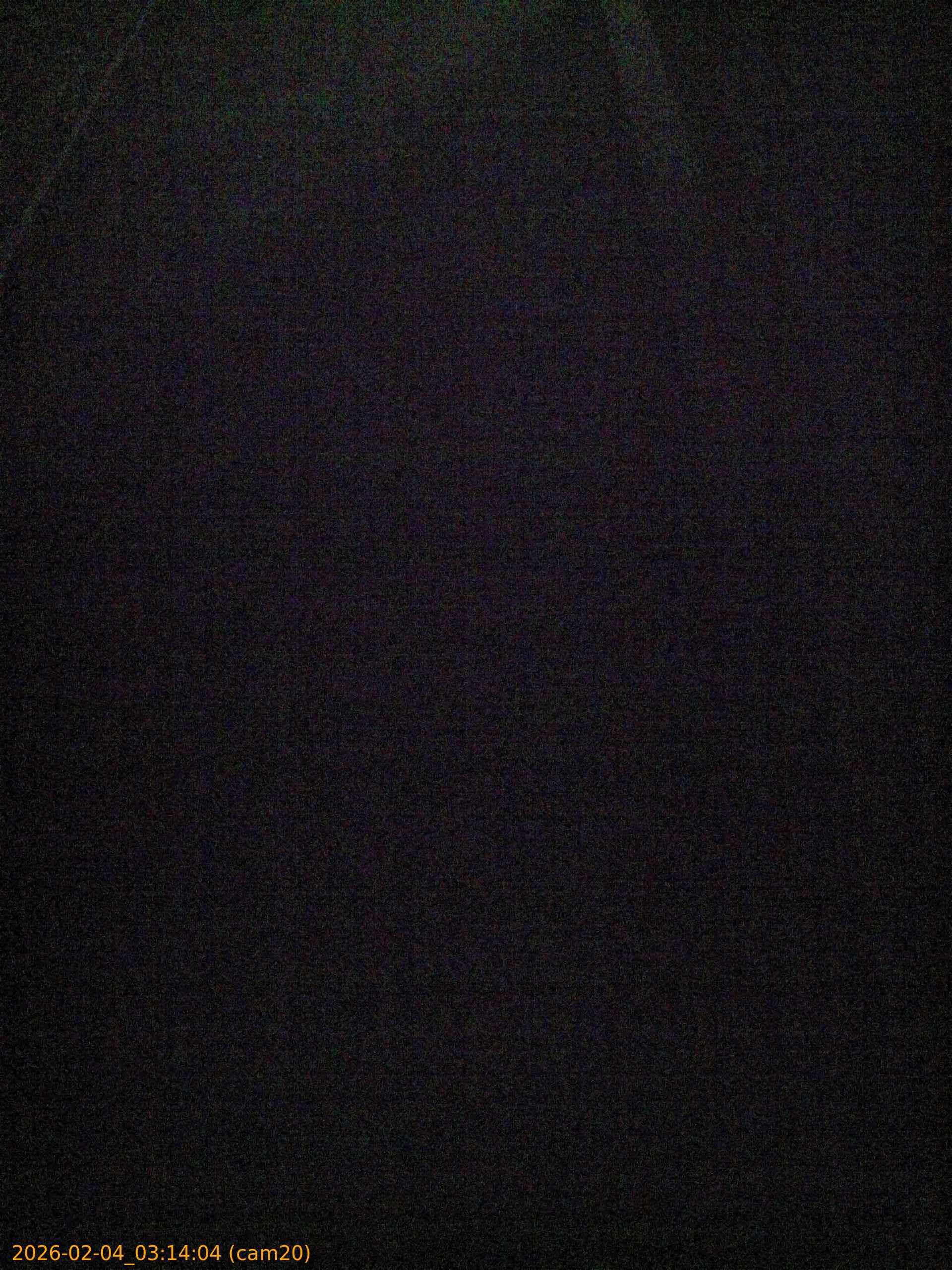 thumbnail_20260204031404