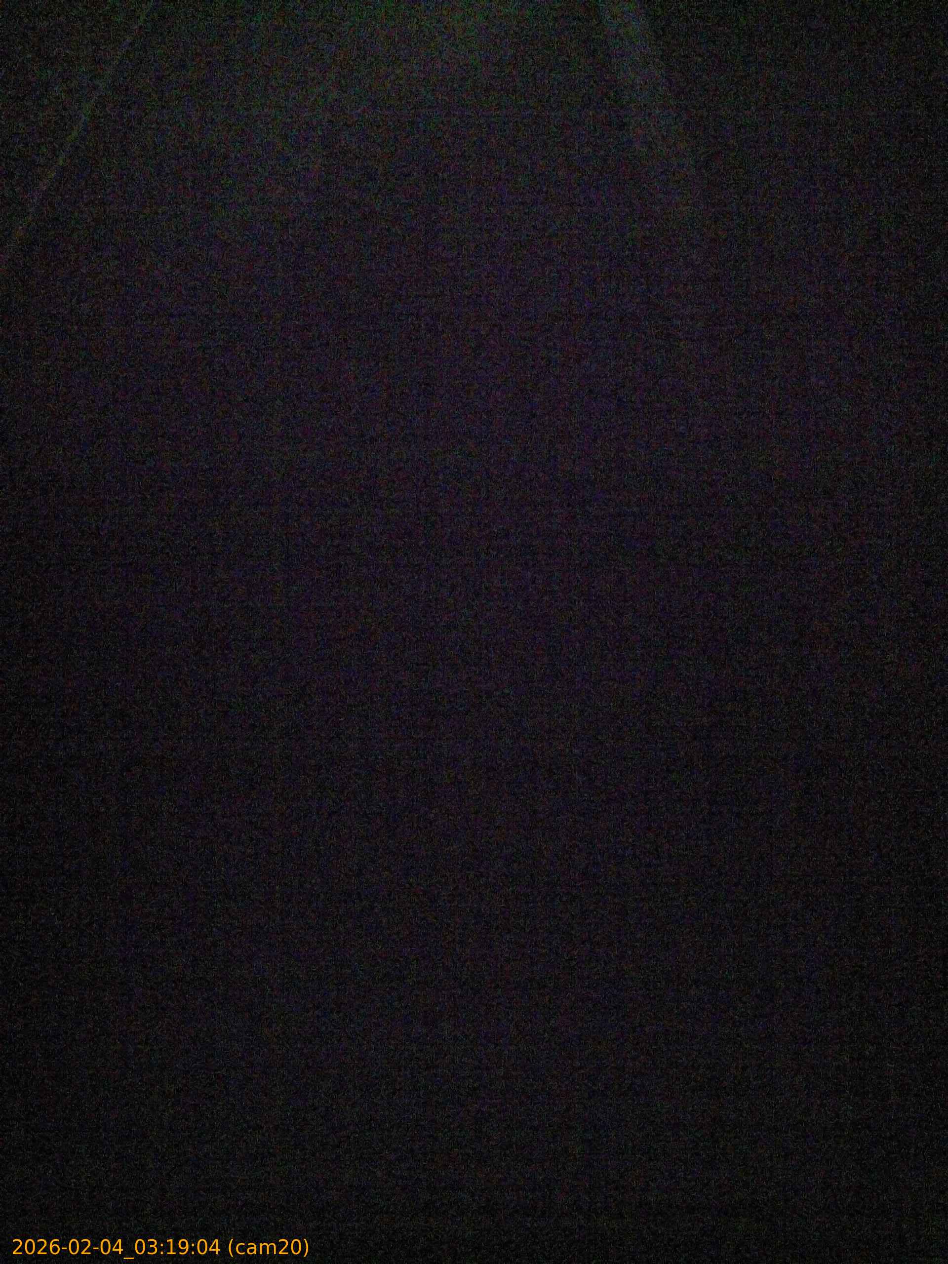 thumbnail_20260204031904