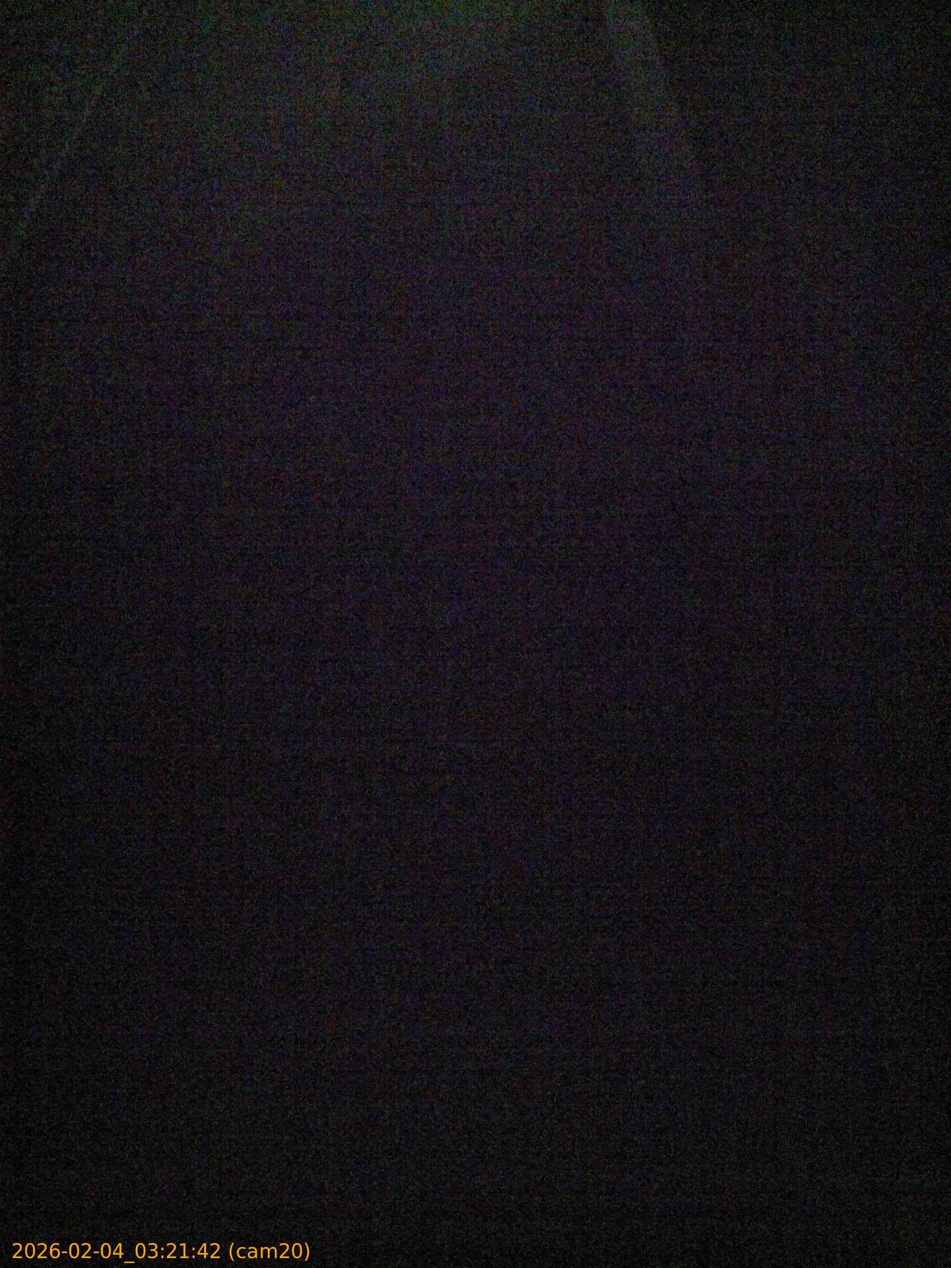 thumbnail_20260204032142