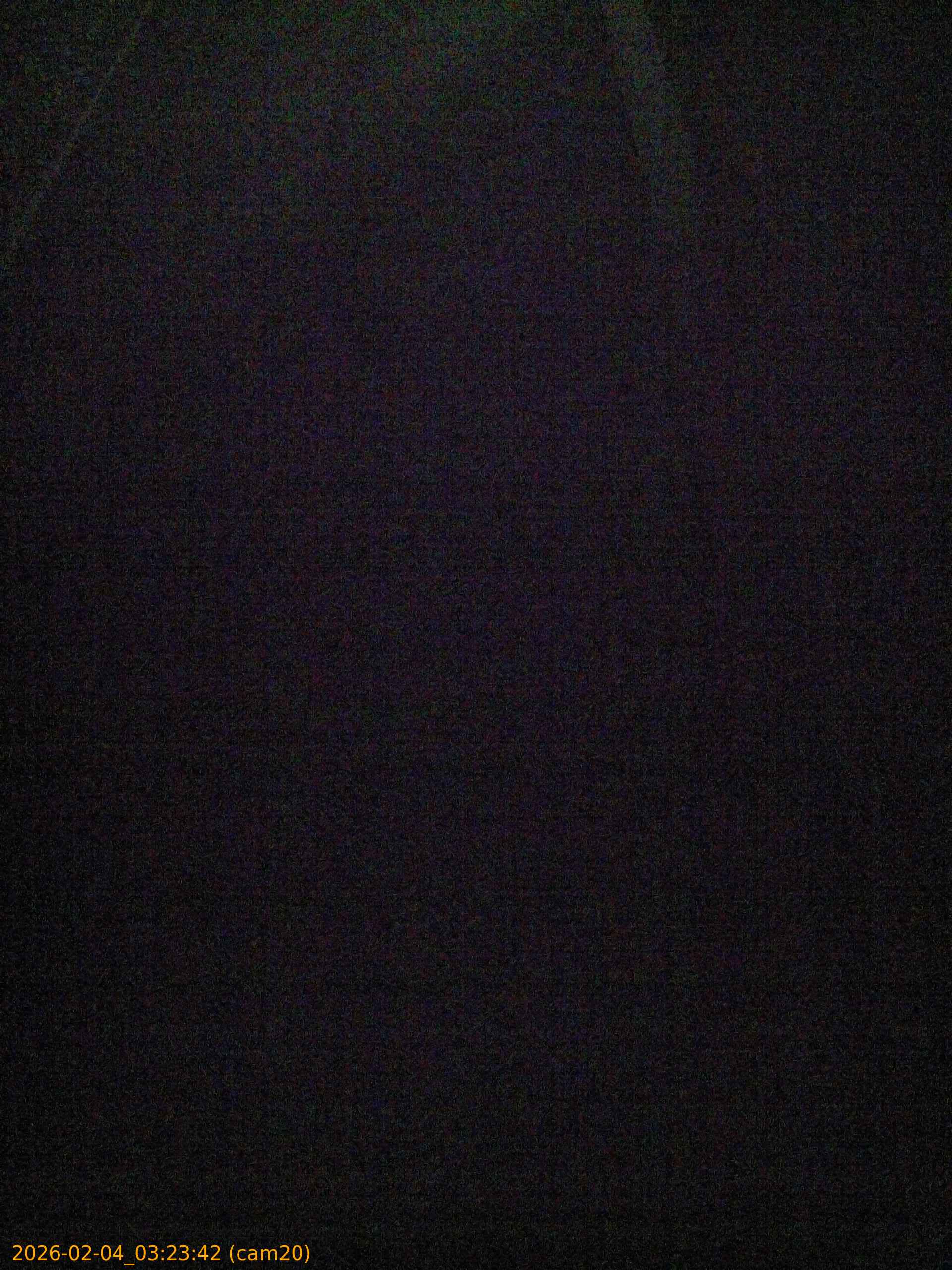 thumbnail_20260204032341